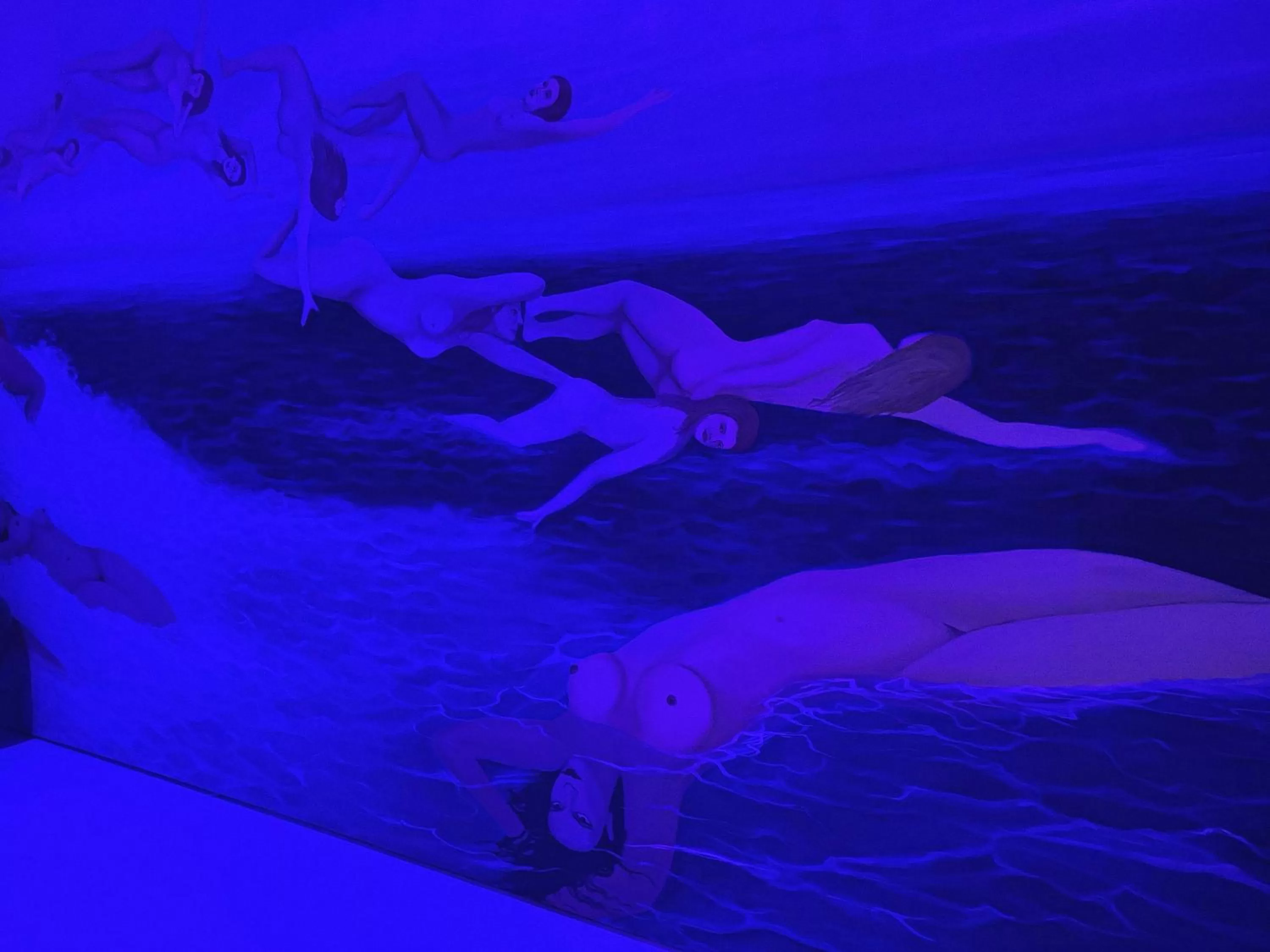 Night in Hotel Rosa Blu