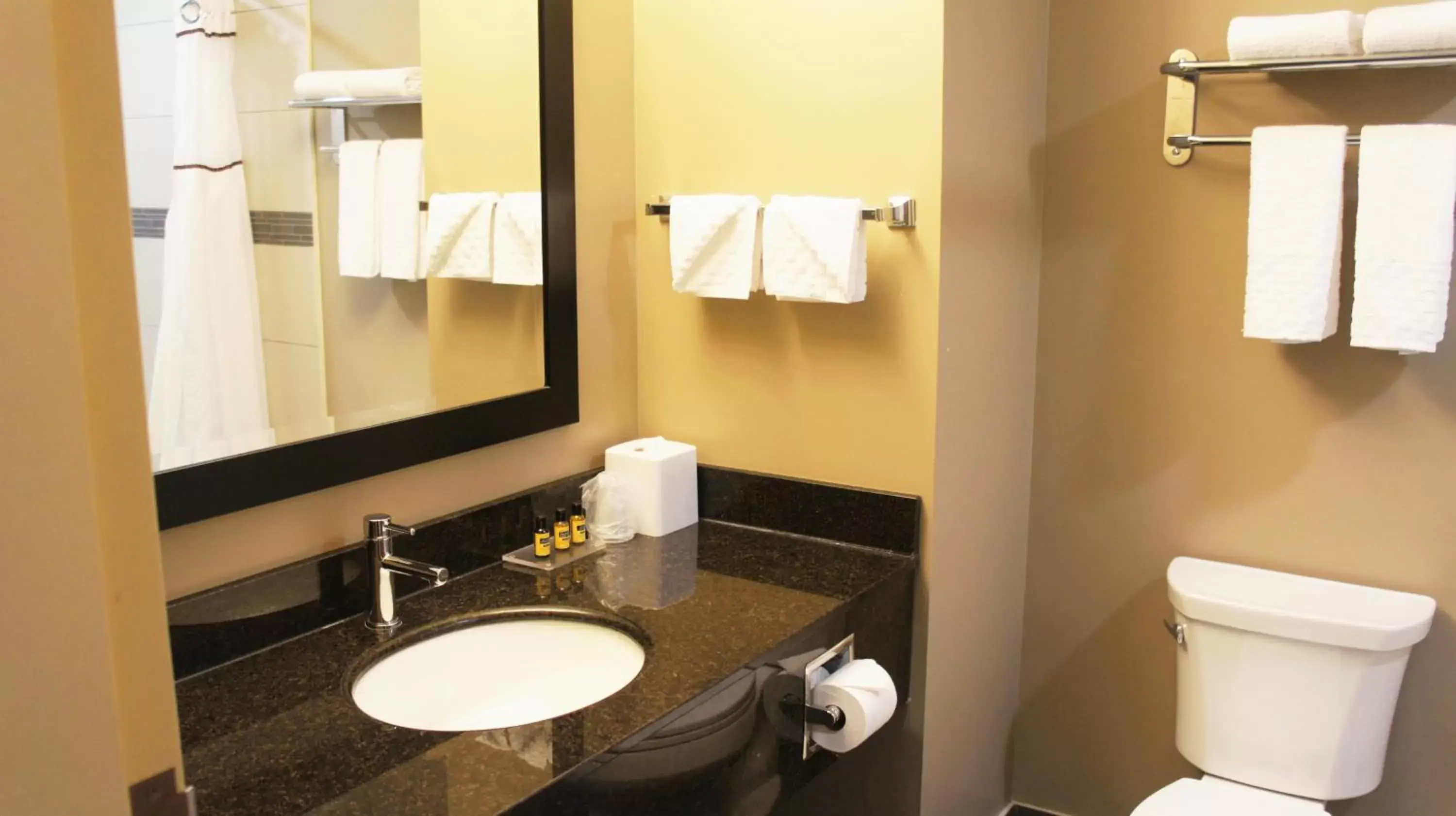Property building, Bathroom in Best Western PLUS Fort Saskatchewan Inn & Suites