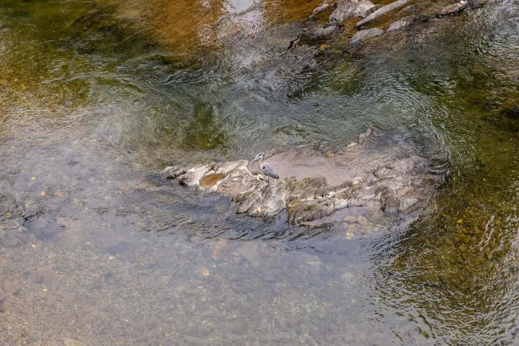 River view in Twin Mountain Inn & Suites