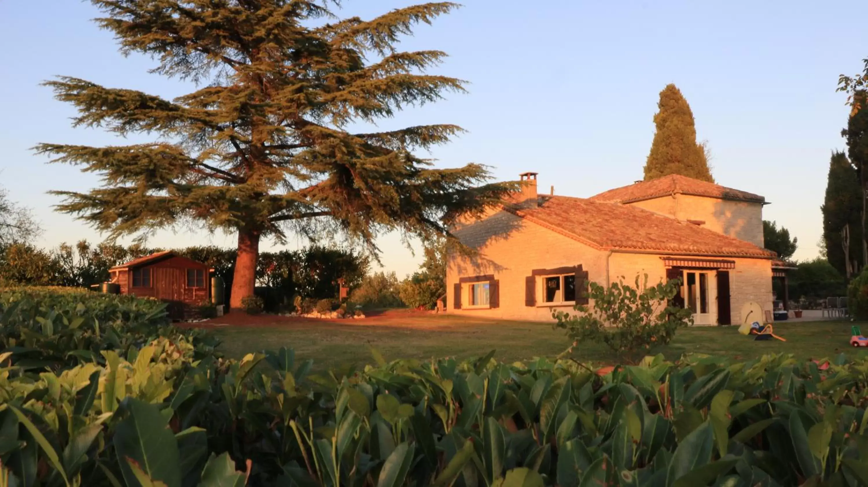 Garden, Property Building in Chambre d'hotes la Quercynoise