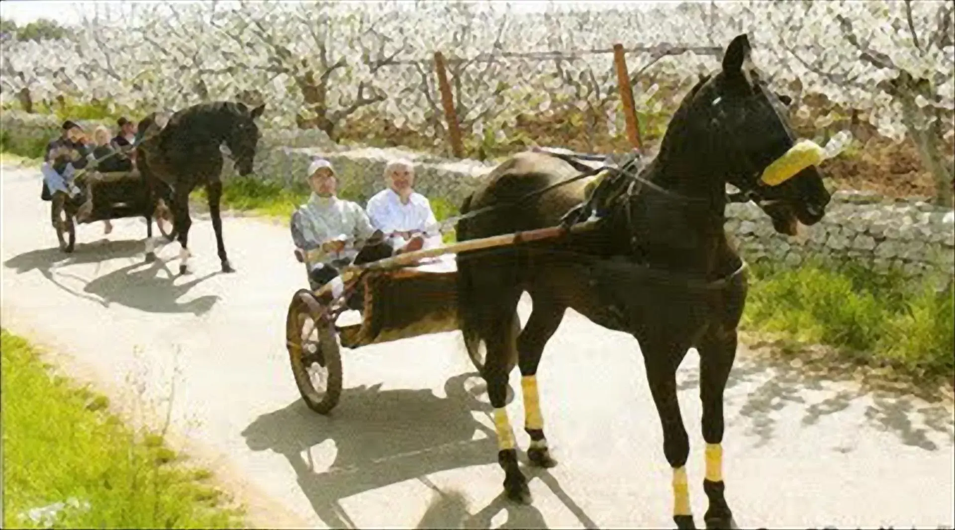 Horseback Riding in B&b SAN LORENZO