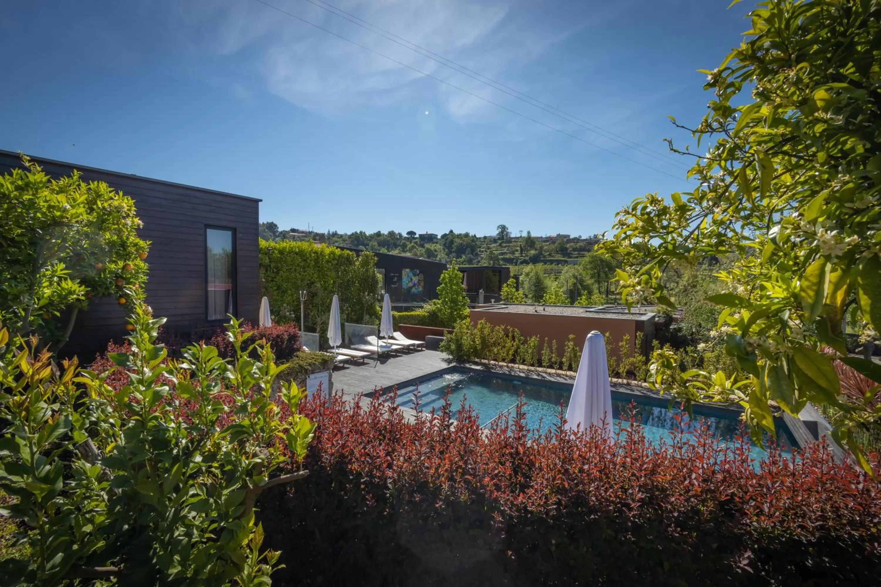 Swimming pool in Vale de São Torcato Hotel Rural