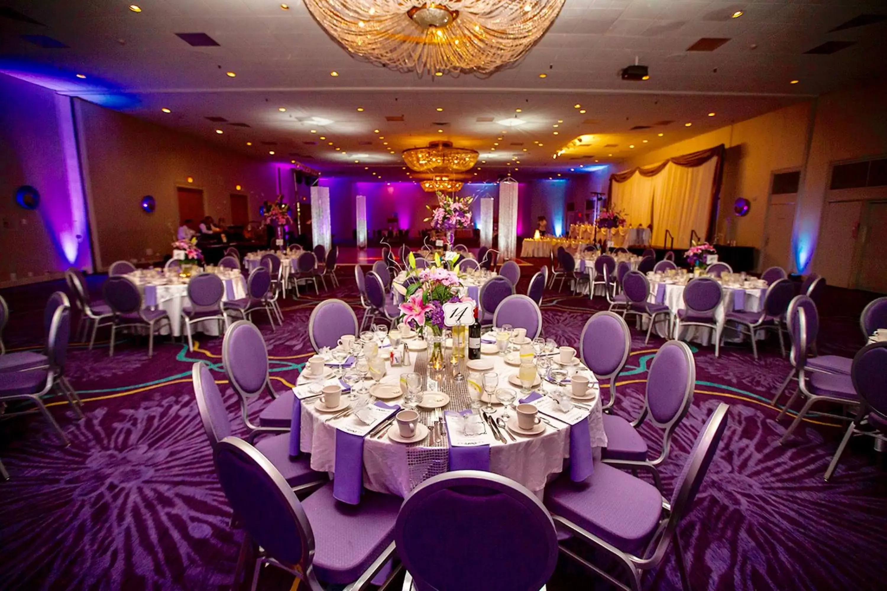 Banquet/Function facilities, Banquet Facilities in Holiday Inn Rochester NY - Downtown, an IHG Hotel