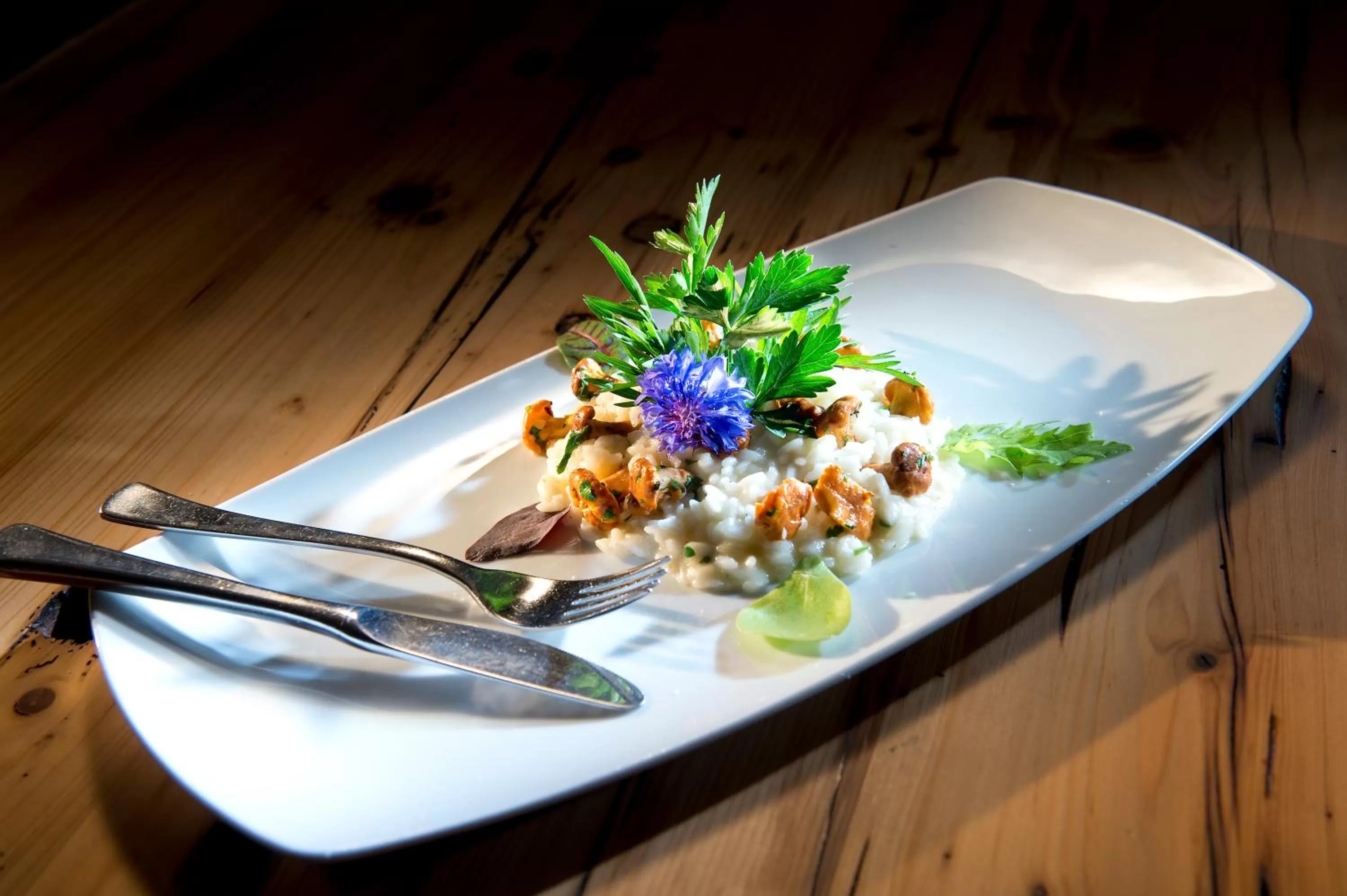 Food and drinks in Hotel Ansitz Kematen ***S