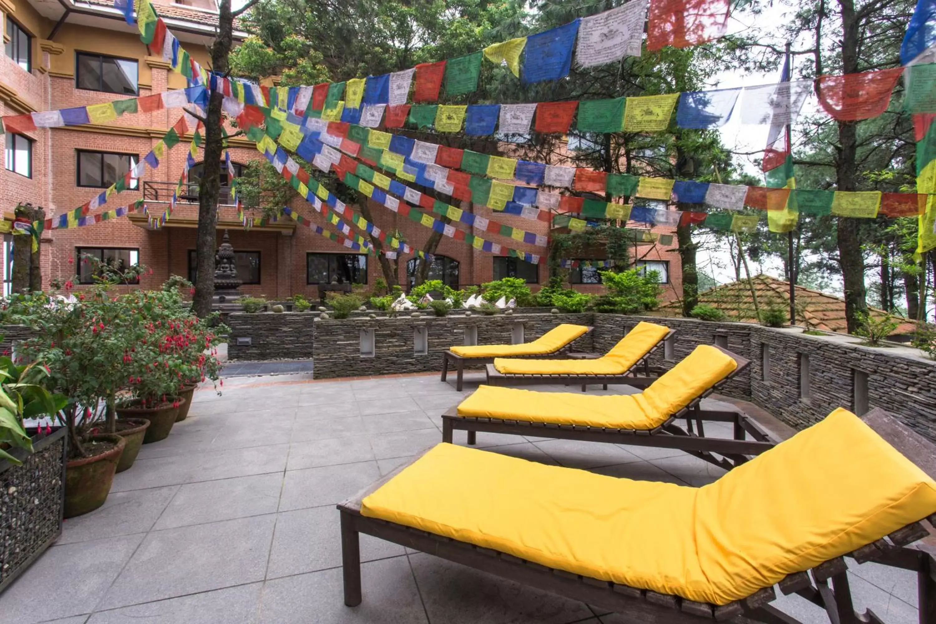 Area and facilities in Club Himalaya, by ACE Hotels
