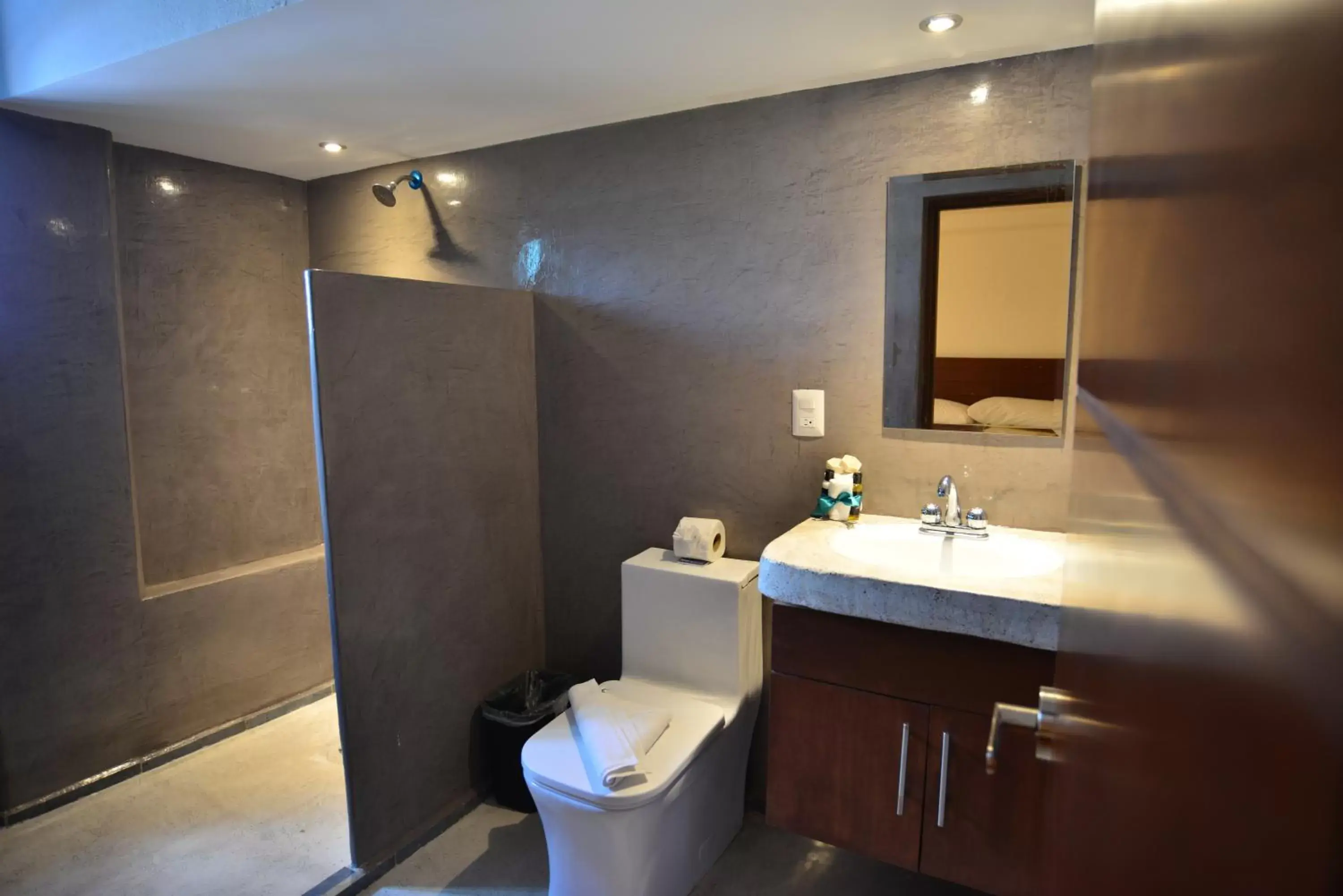 Shower, Bathroom in Hotel Rio Lagartos