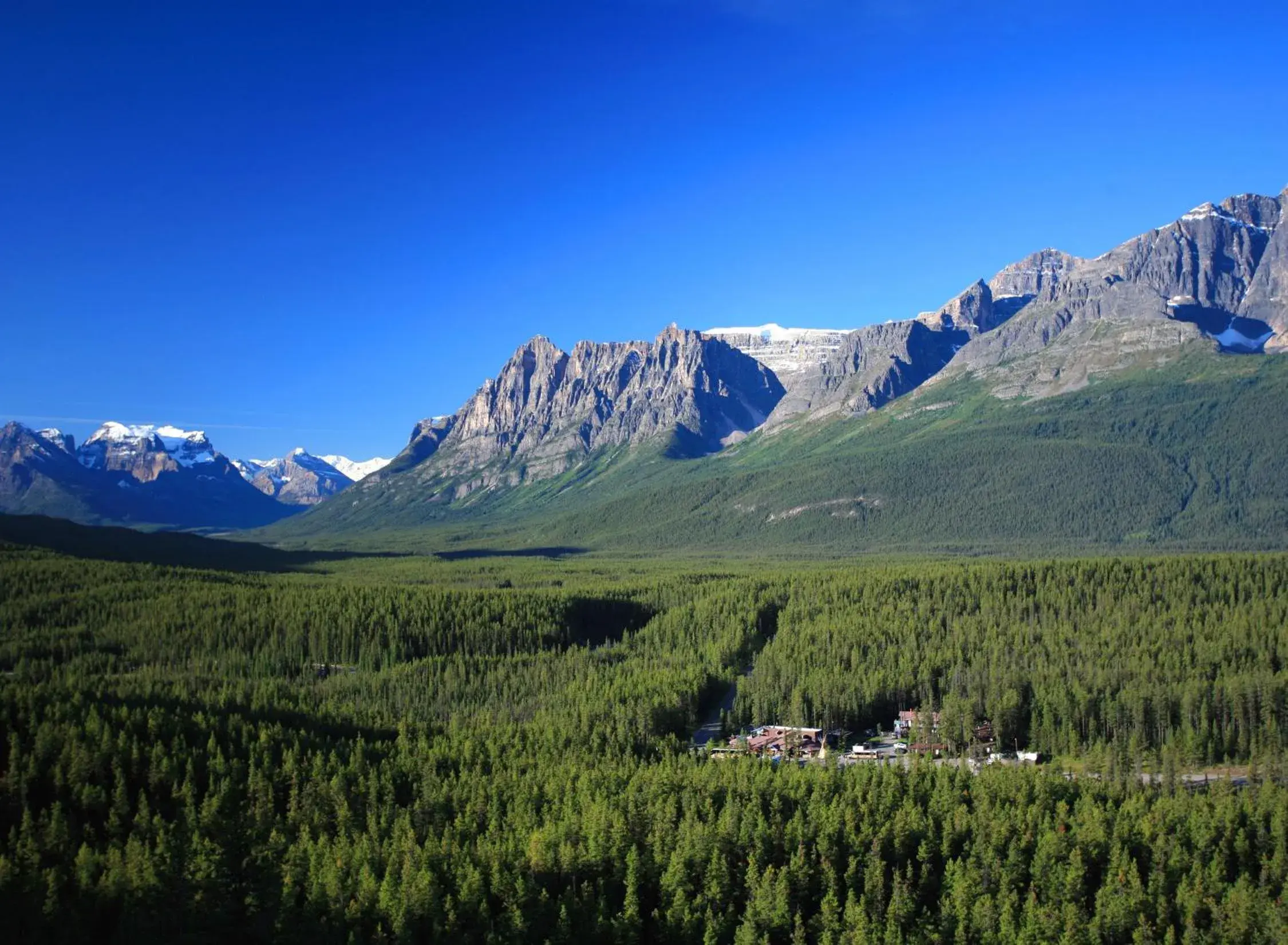 Property building, Natural Landscape in Sunwapta Falls Rocky Mountain Lodge