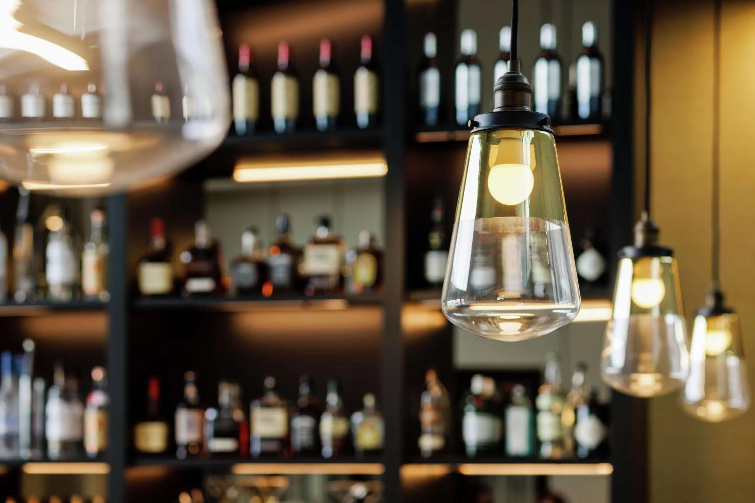 Lounge or bar in Hotel Trilogy Albany Airport, Tapestry Collection by Hilton