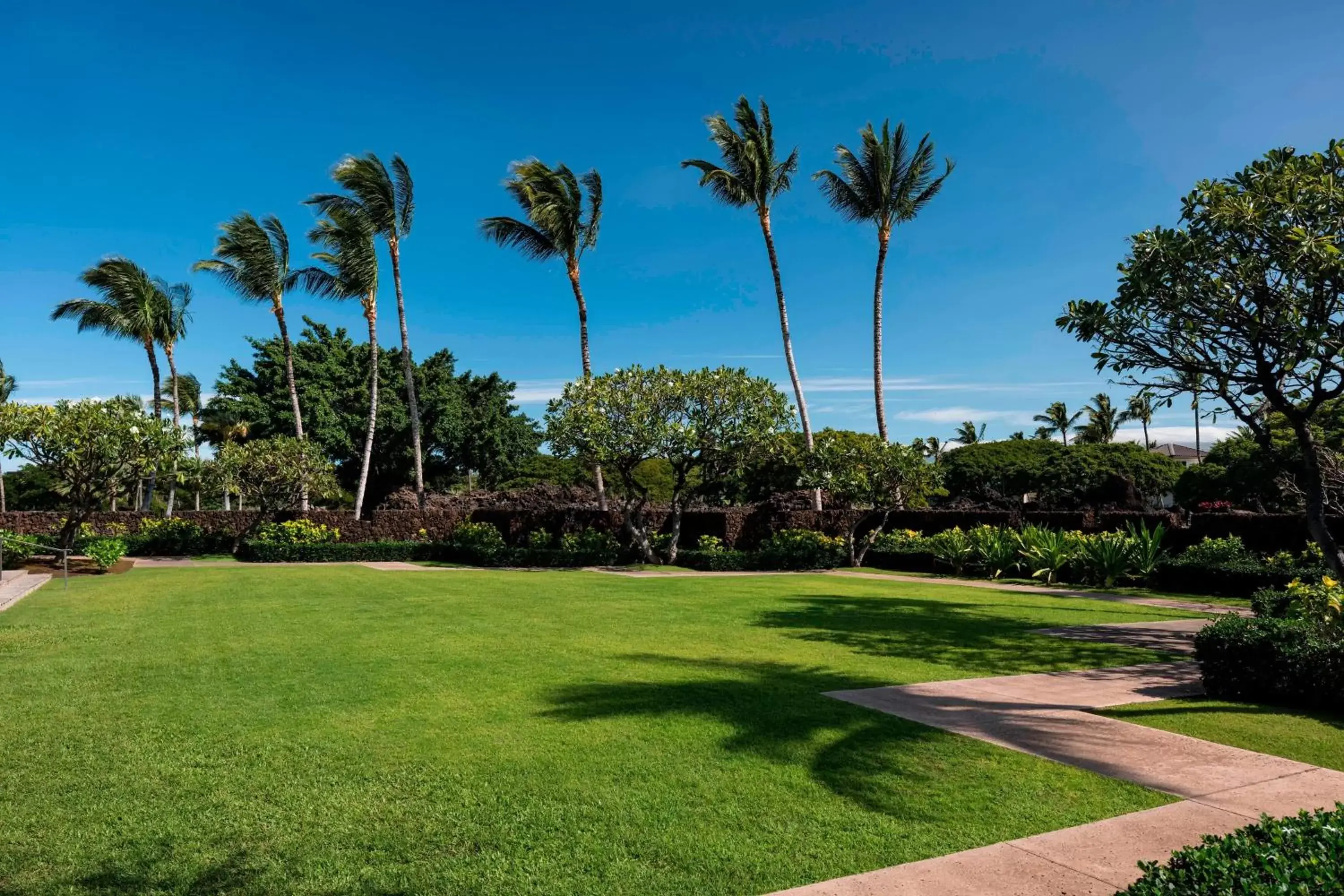 Meeting/conference room, Garden in Waikoloa Beach Marriott Resort & Spa