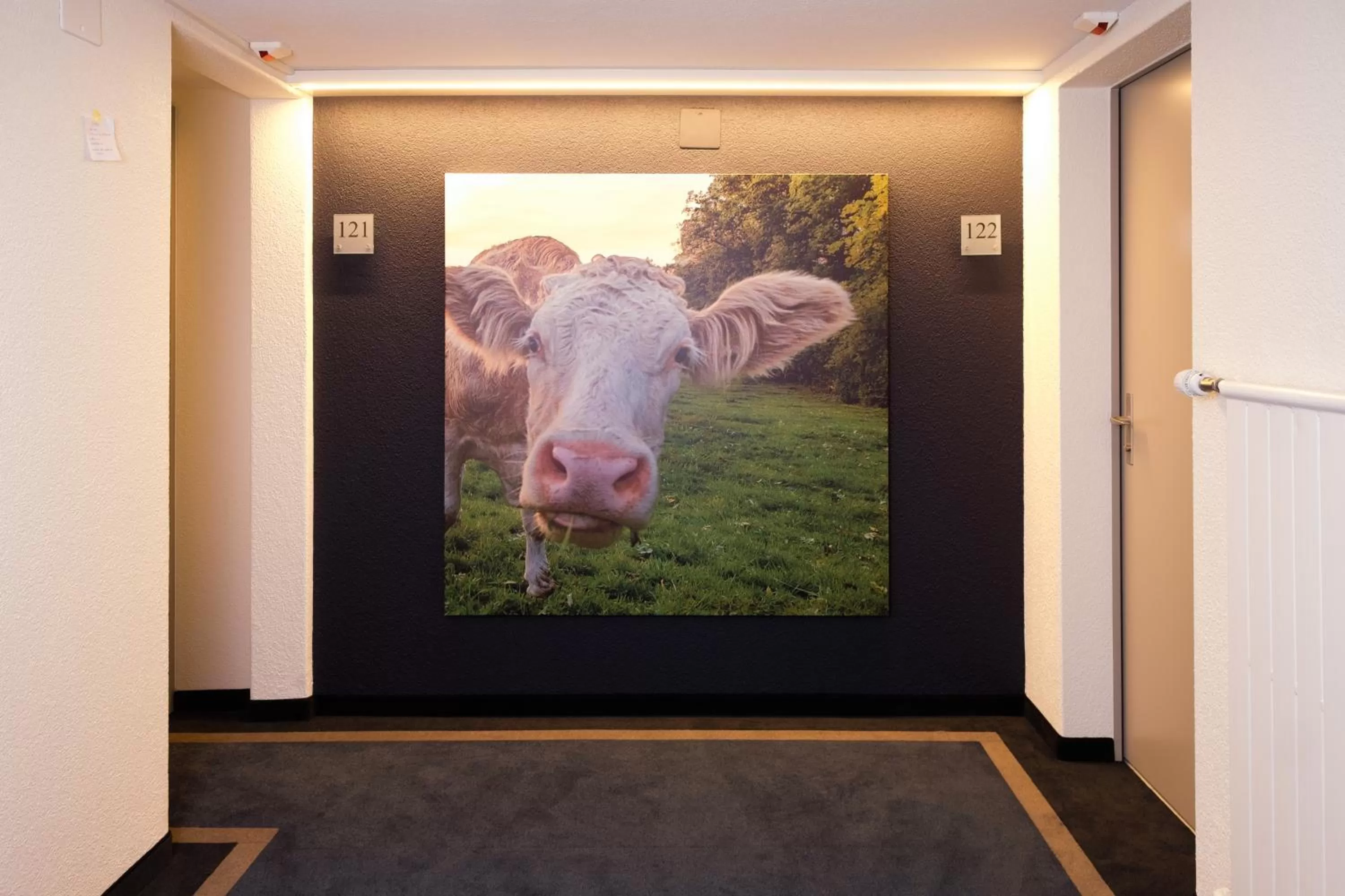 Decorative detail in Hotel Friedheim