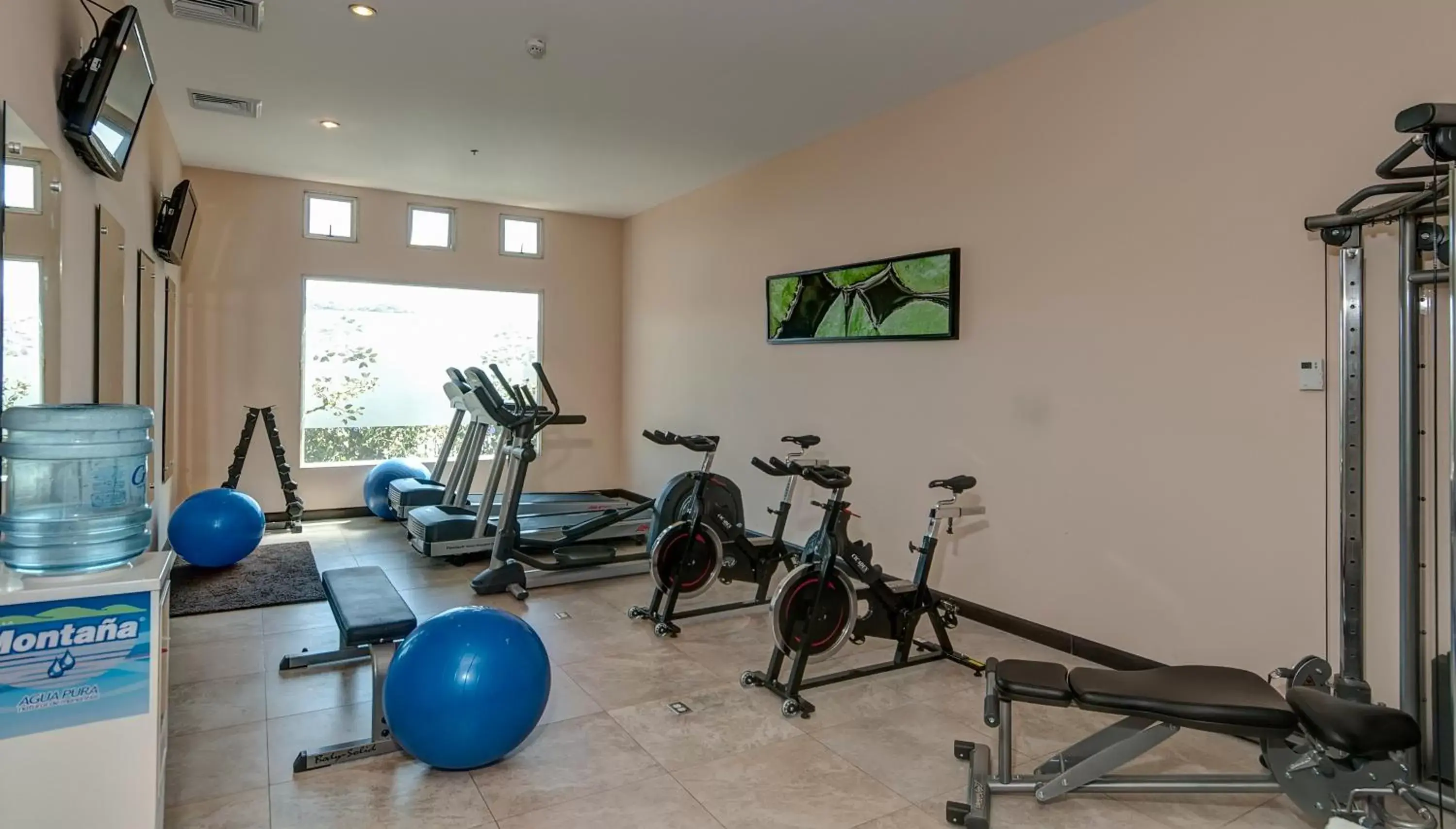 Fitness centre/facilities, Fitness Center/Facilities in Studio Hotel Boutique