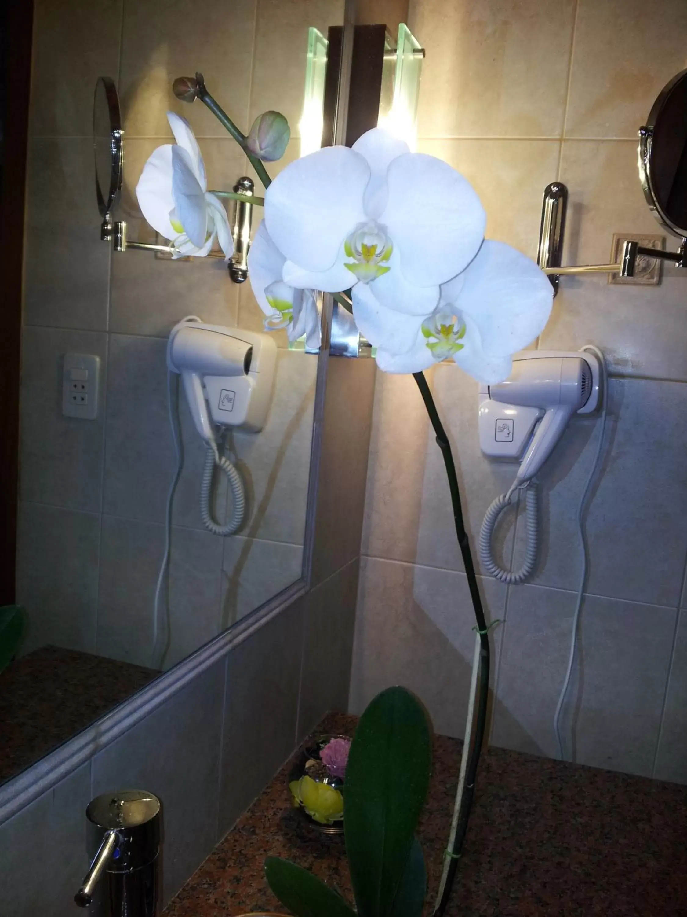 Double Room in Villa Floreal Hotel Boutique Double Room in Villa Floreal Hotel Boutique