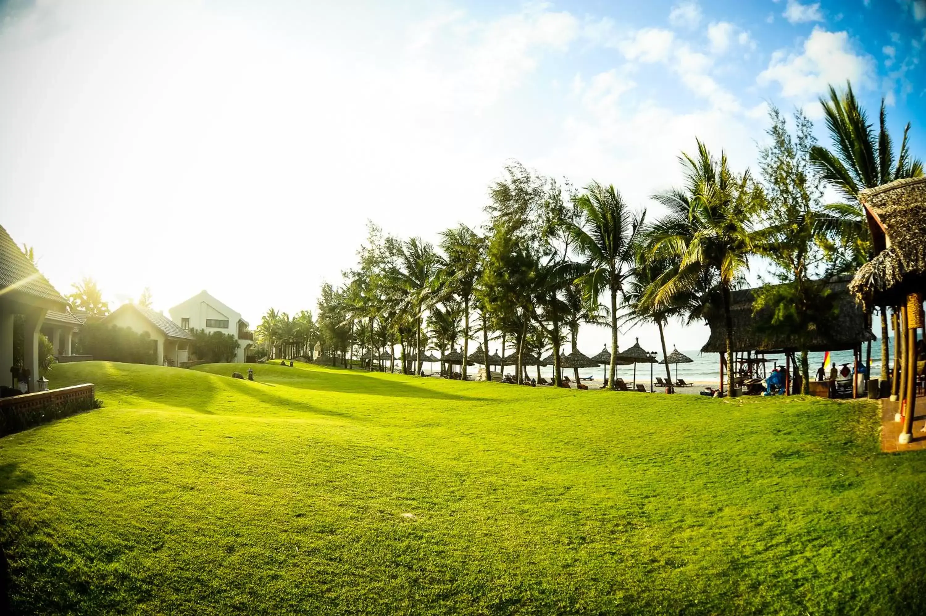 Natural landscape, Garden in Palm Garden Beach Resort & Spa