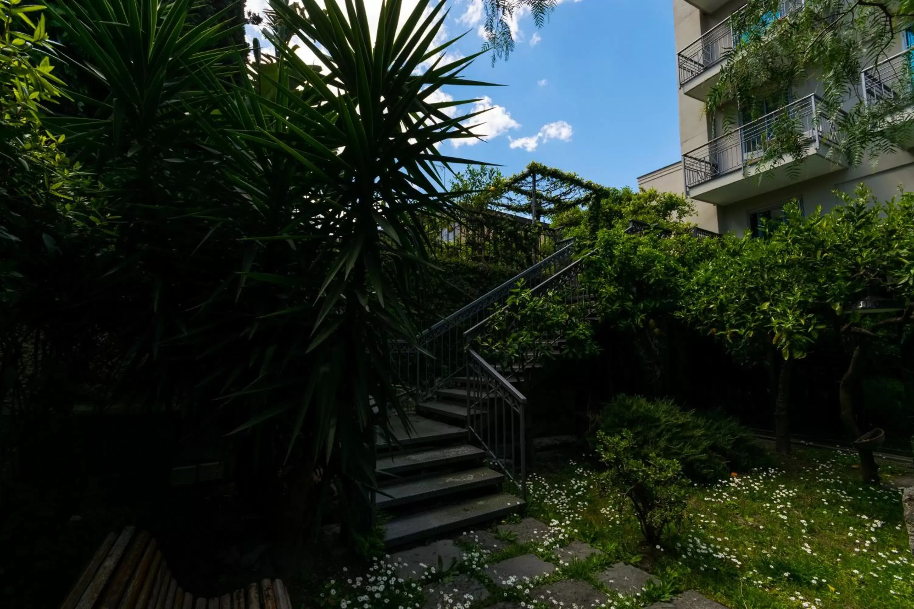 Garden, Property Building in Hotel Forum