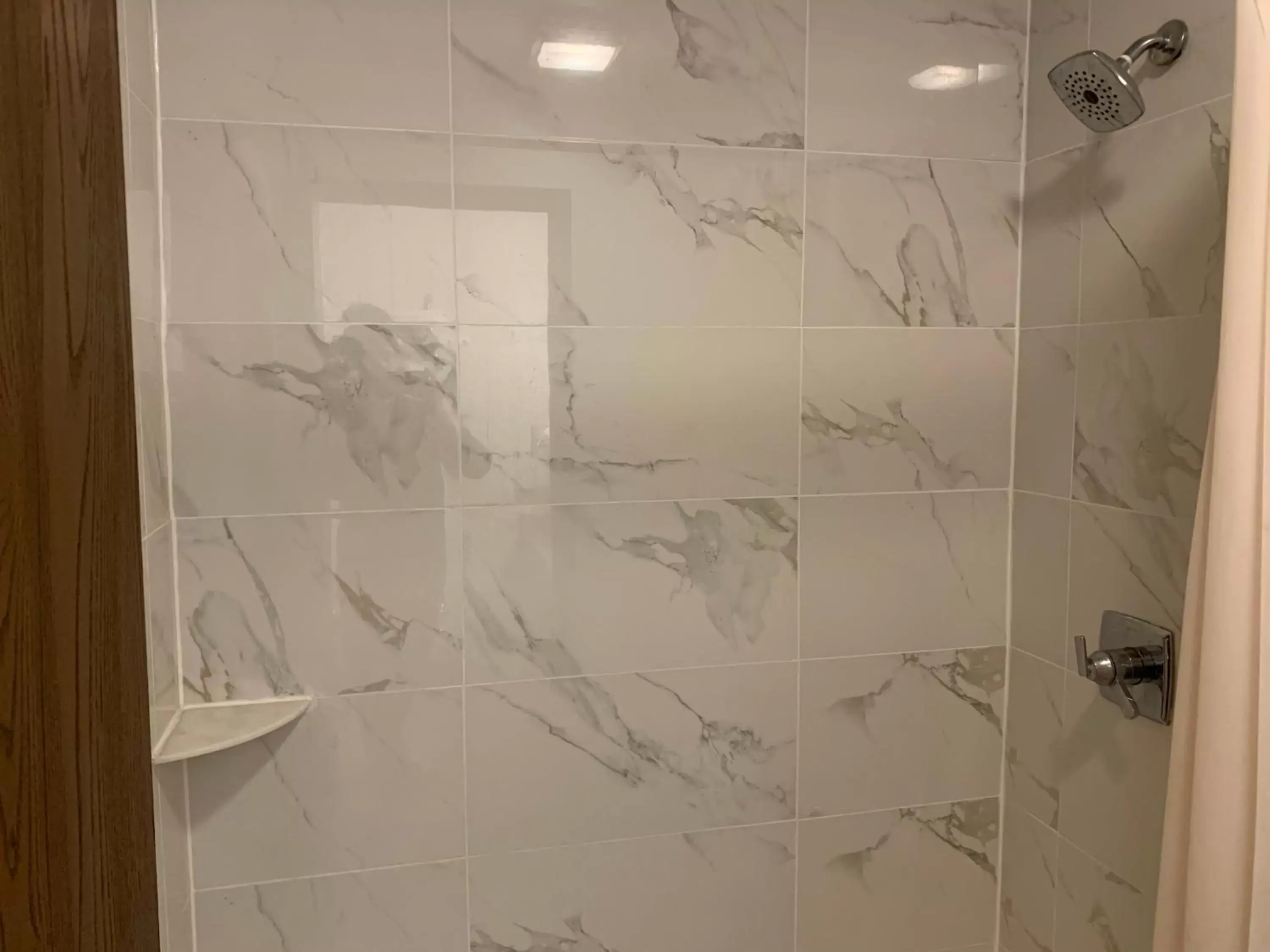 Shower, Bathroom in Landmark Inn