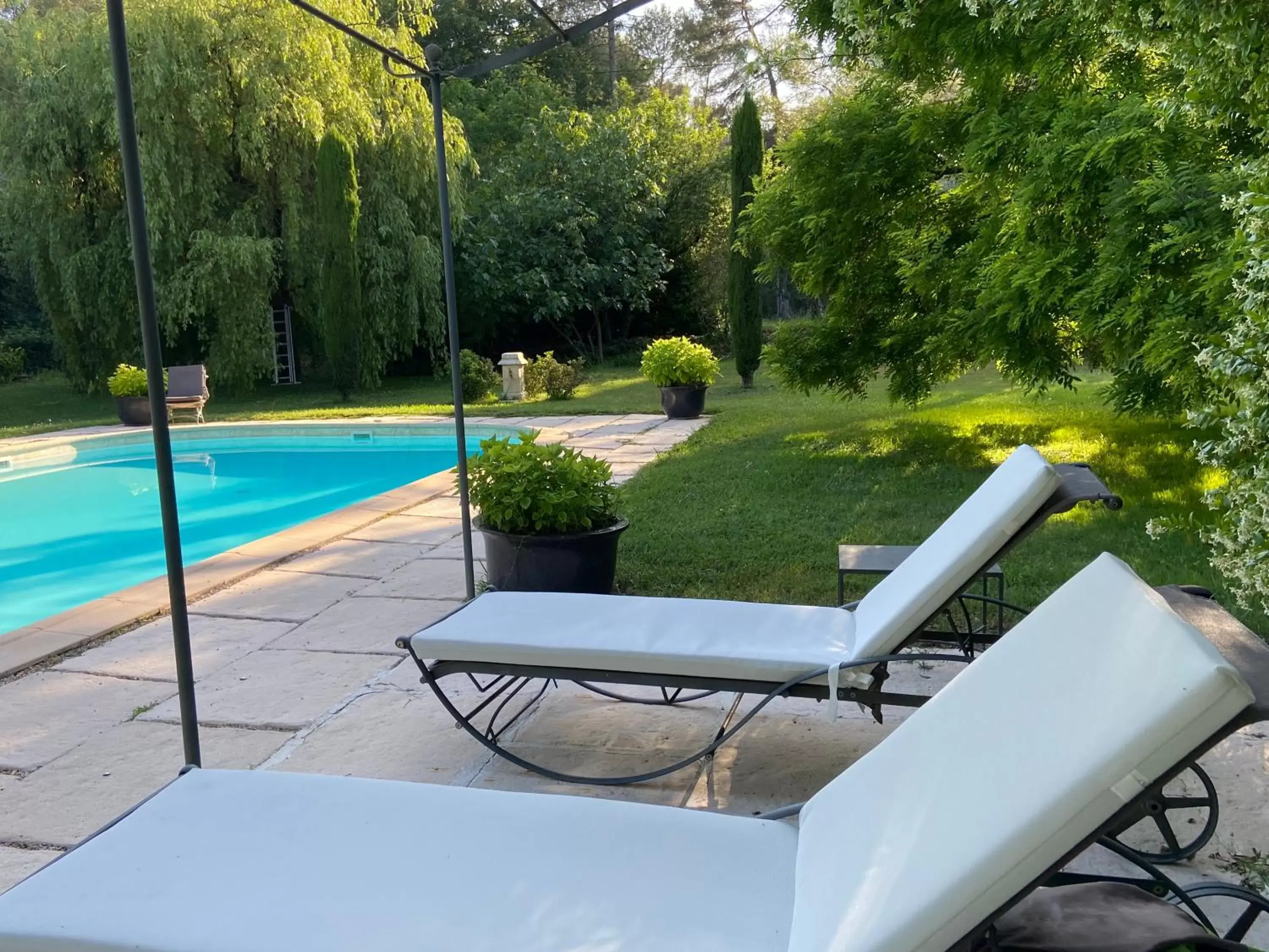 Garden, Swimming Pool in Villa de Miha