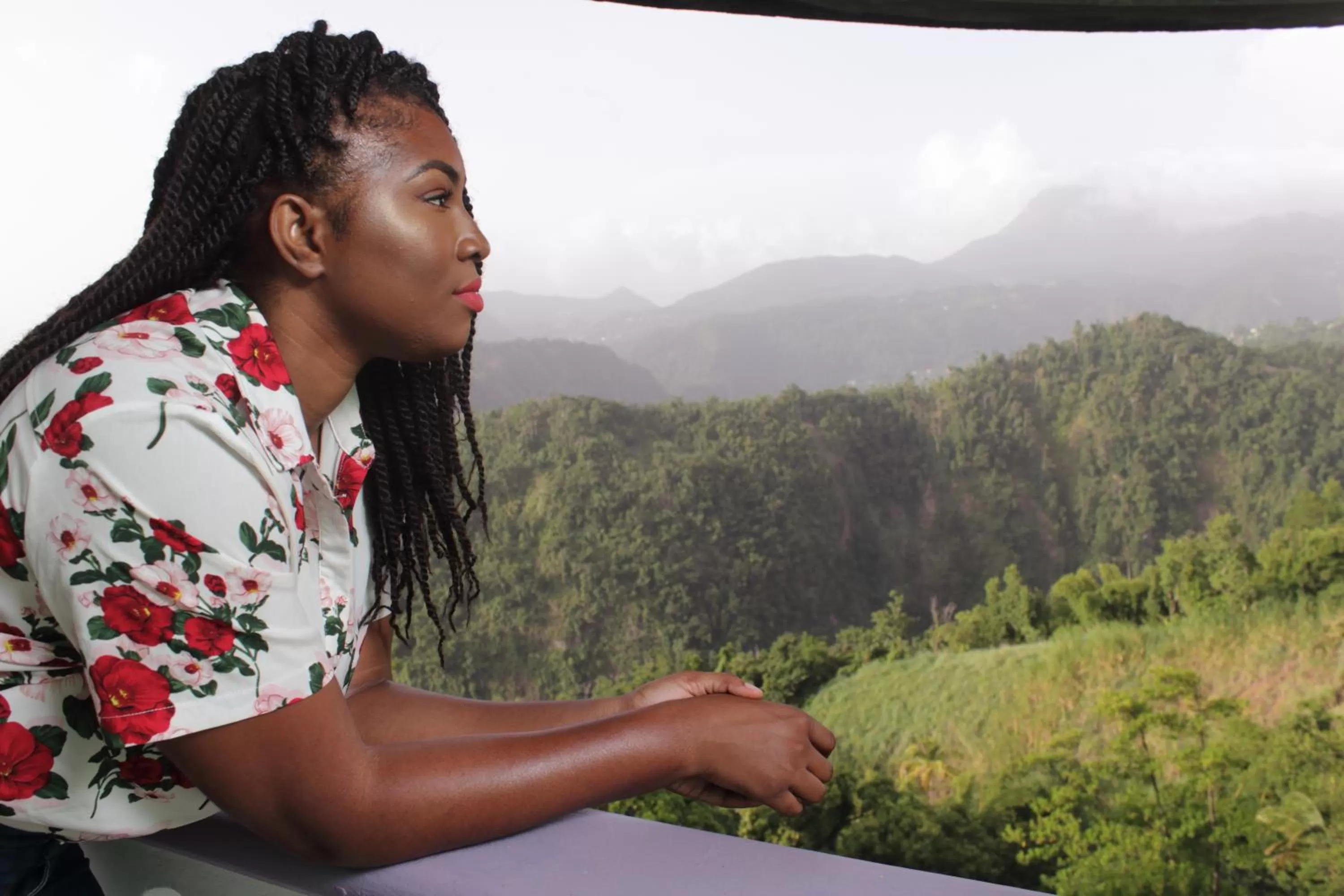 Matthew's Miracle View