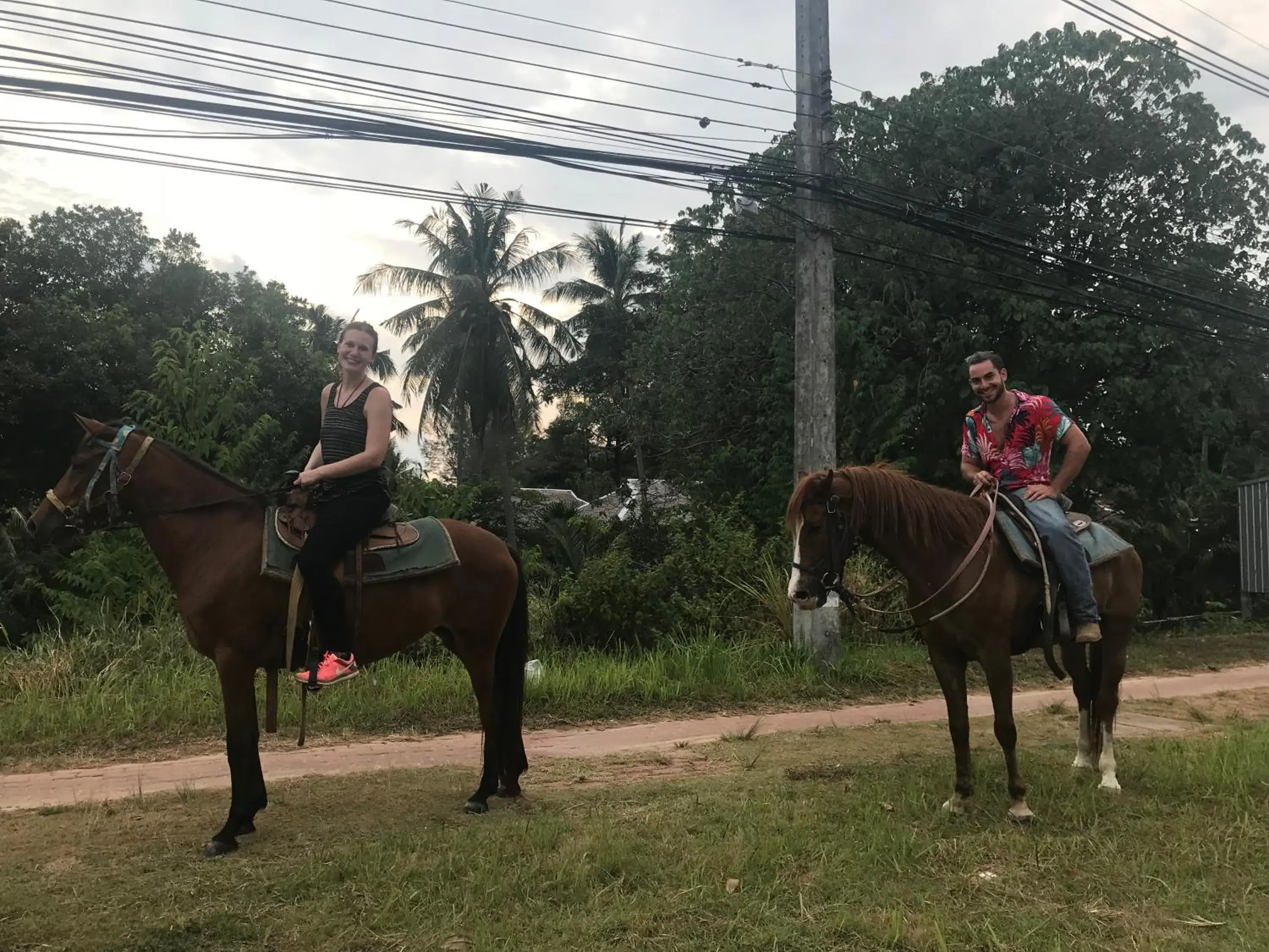 Horseback Riding in Hub Of Joys Hostel