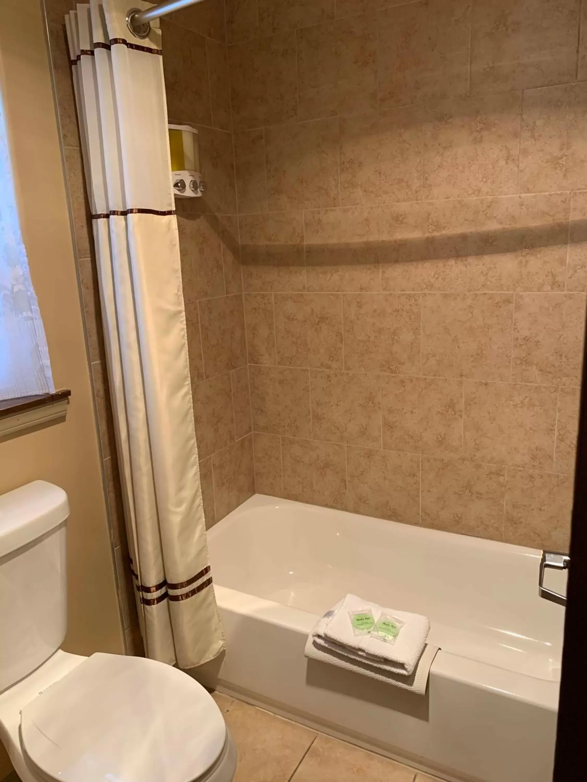 Shower, Bathroom in Matterhorn Inn Ouray