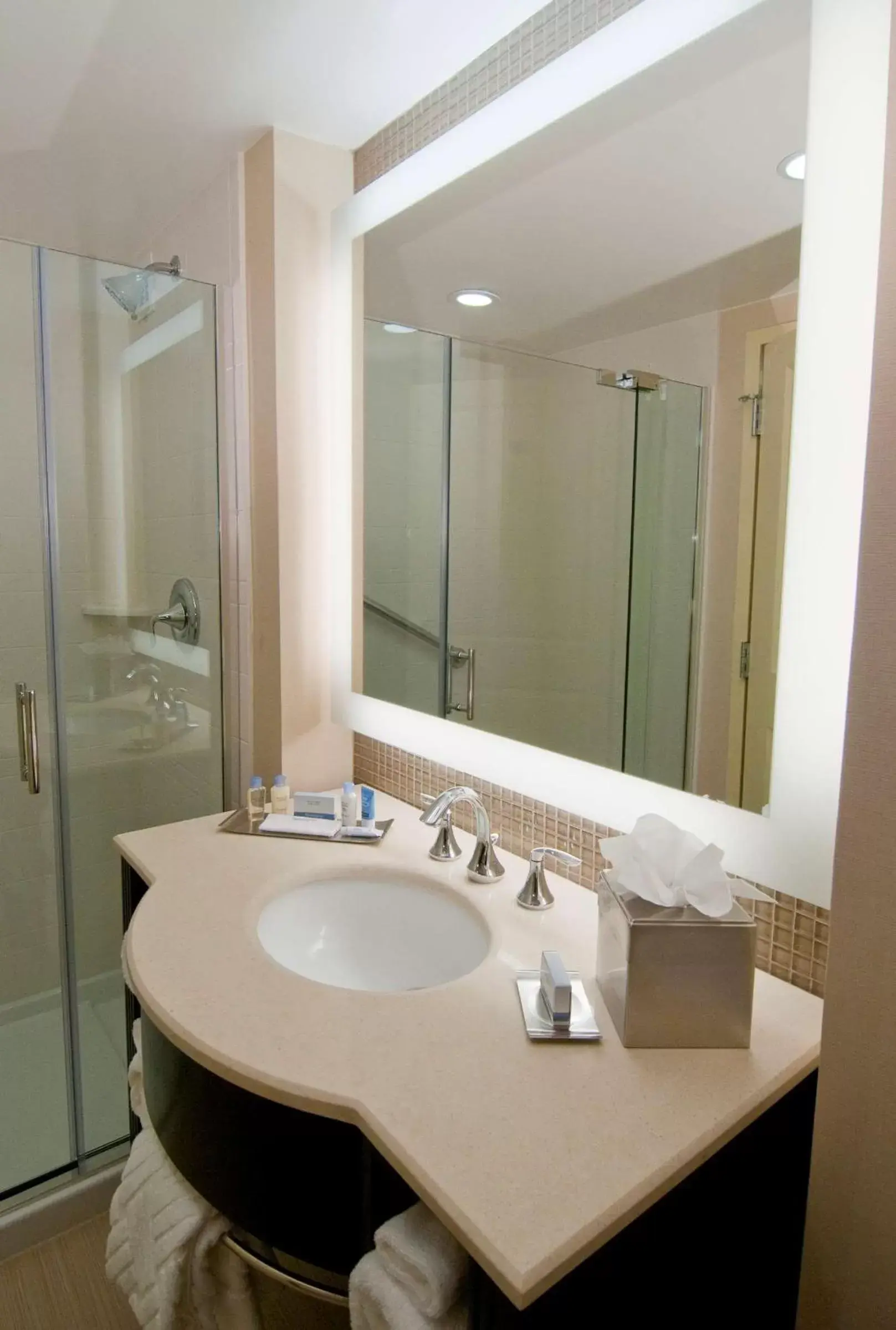 Bathroom in DoubleTree by Hilton Dulles Airport-Sterling