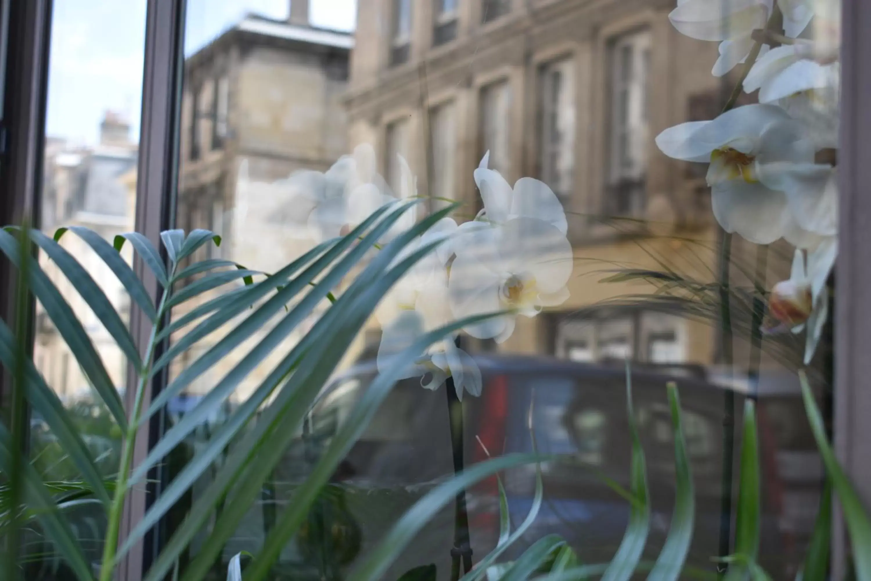 Facade/entrance, Property Building in Hôtel Churchill Bordeaux Centre