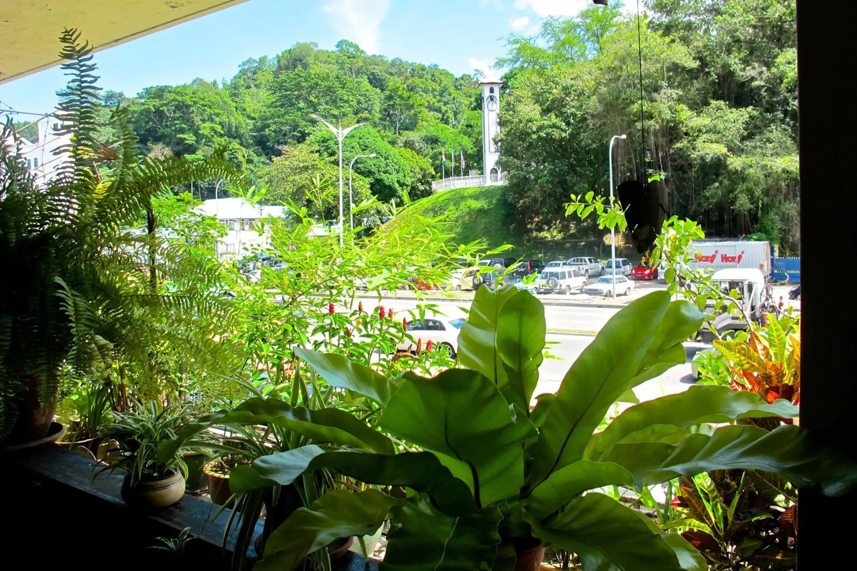 View (from property/room) in Akinabalu Youth Hostel View (from property/room) in Akinabalu Youth Hostel