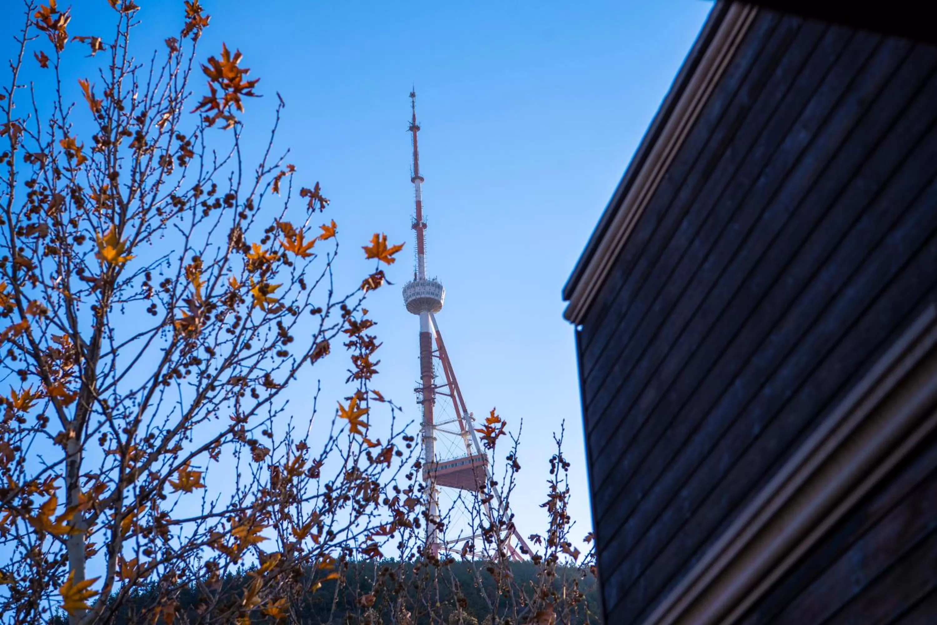 Natural landscape in Sani Apart Hotel