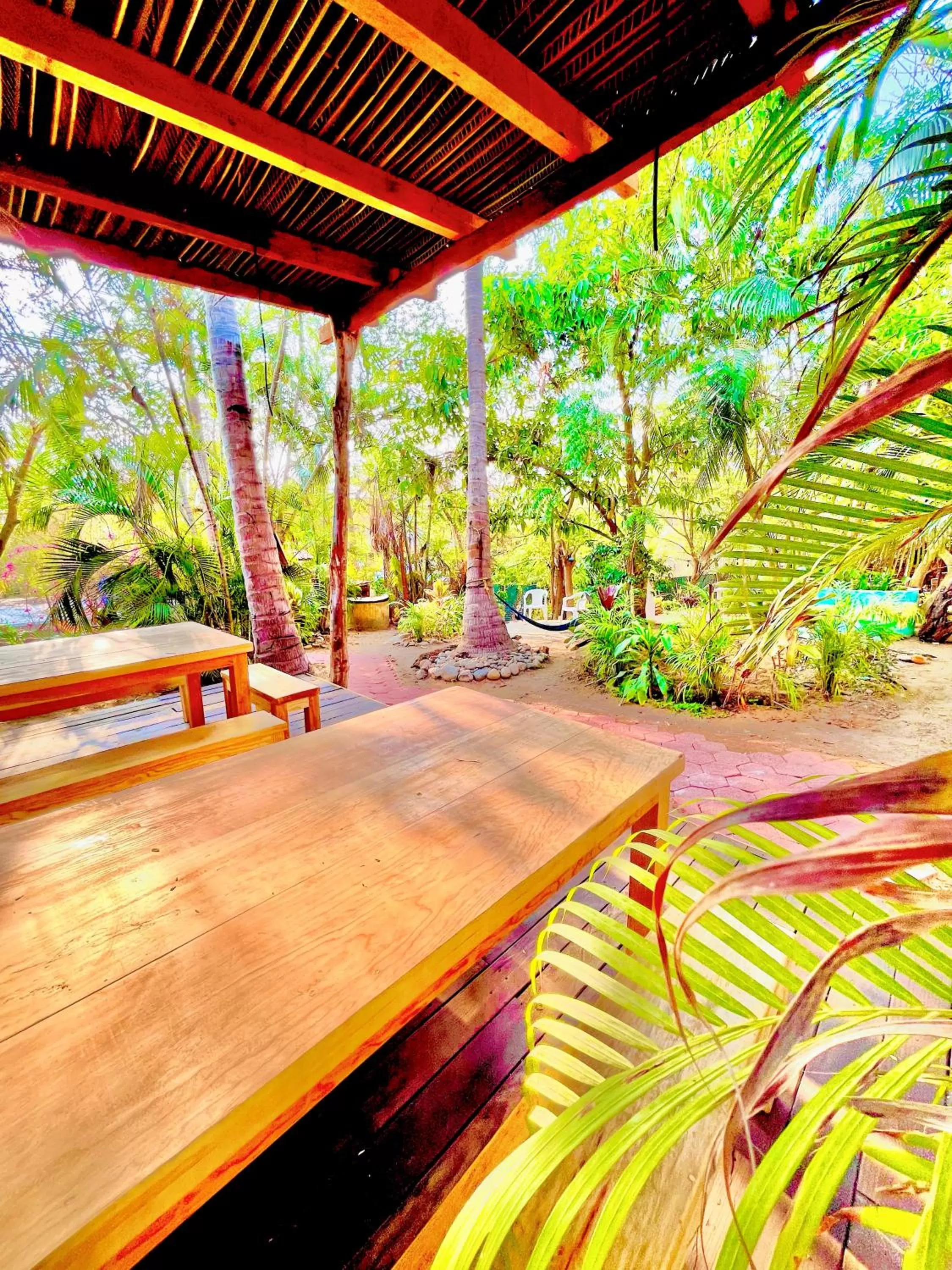 Garden in El Eden Escondido