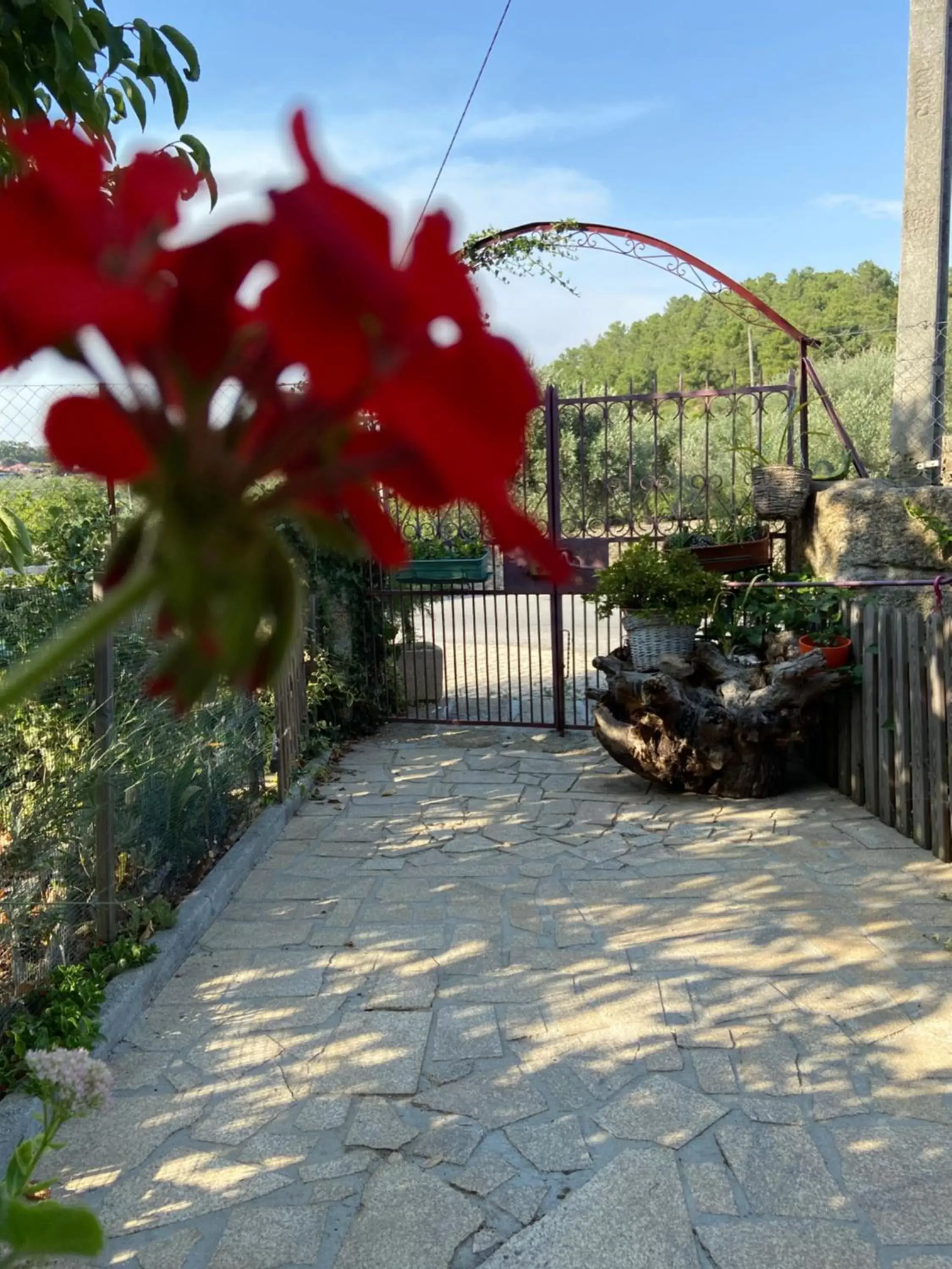 Garden in Casa da Aldeia da Avó