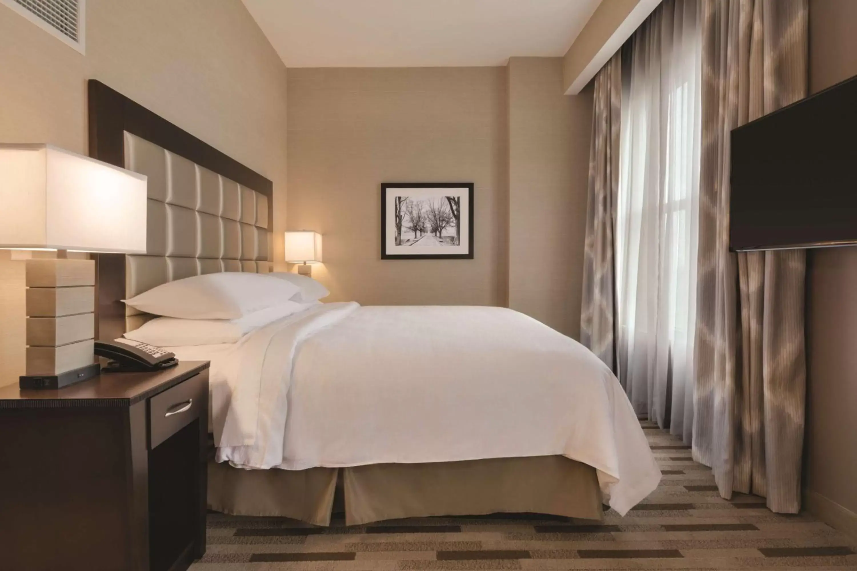 King Studio Suite in Embassy Suites by Hilton Tuscaloosa Alabama Downtown King Studio Suite in Embassy Suites by Hilton Tuscaloosa Alabama Downtown