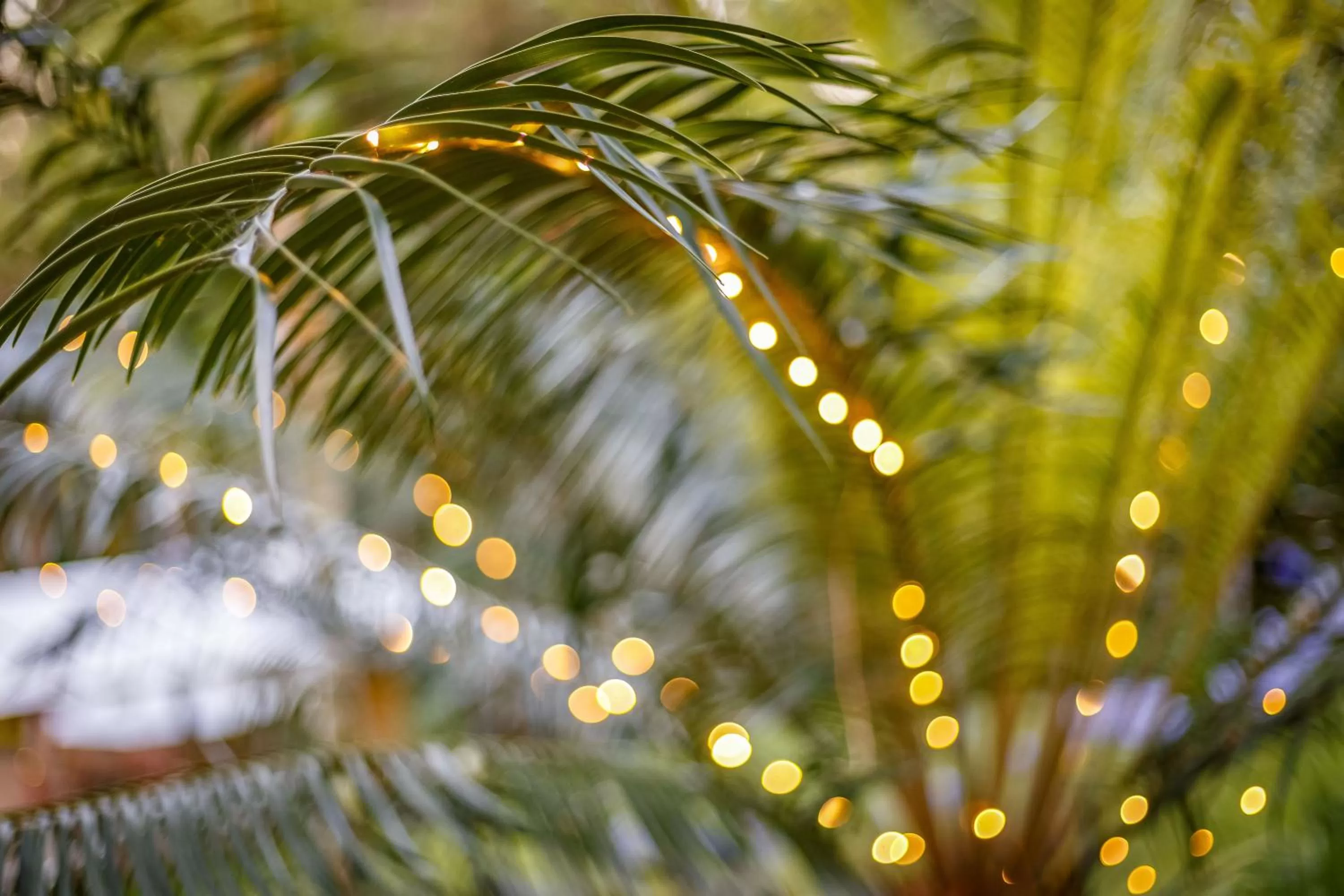 Garden in Sensom at Sapphire - Adults only B&B