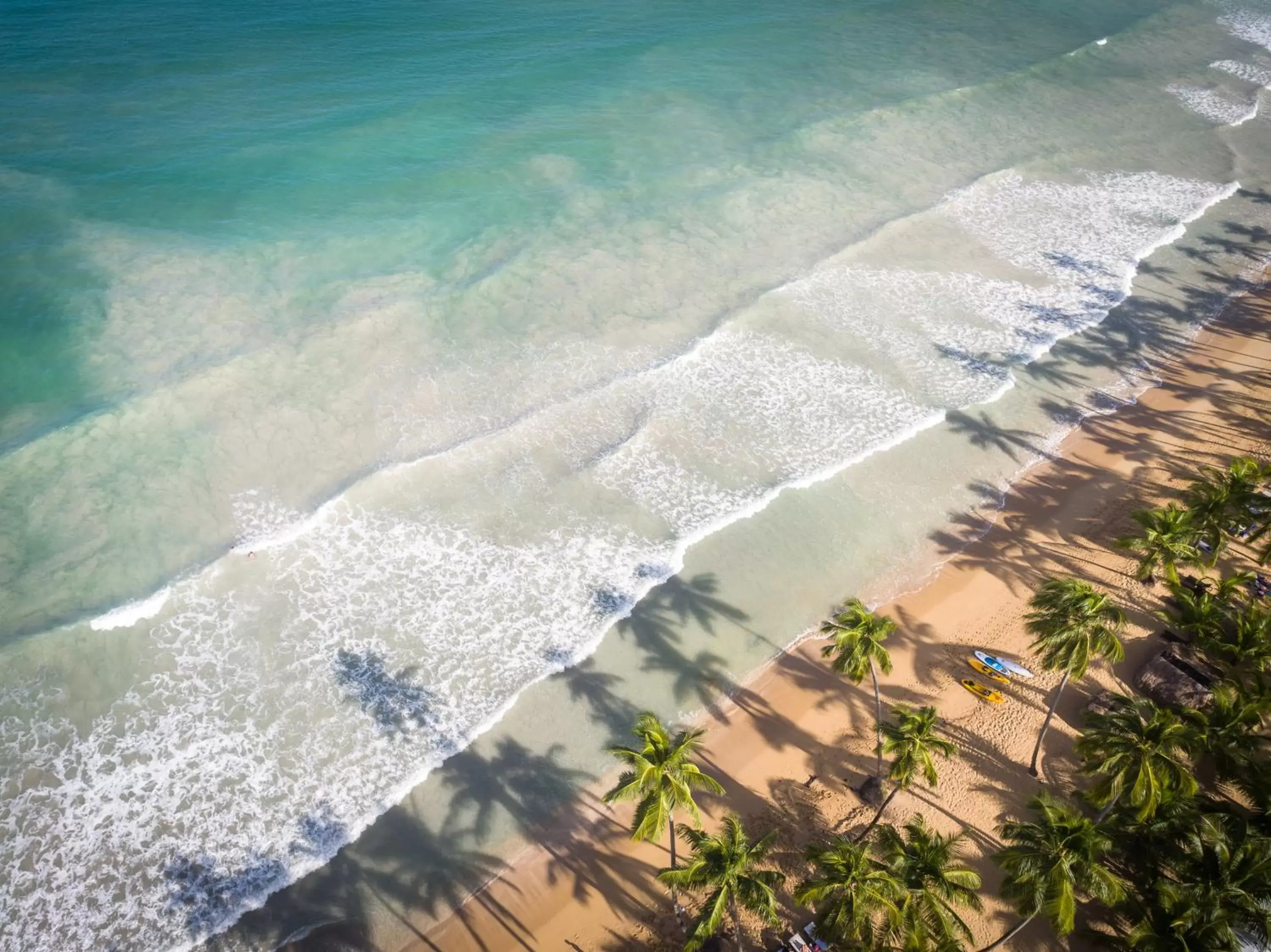 Beach, Bird's-eye View in Sublime Samana