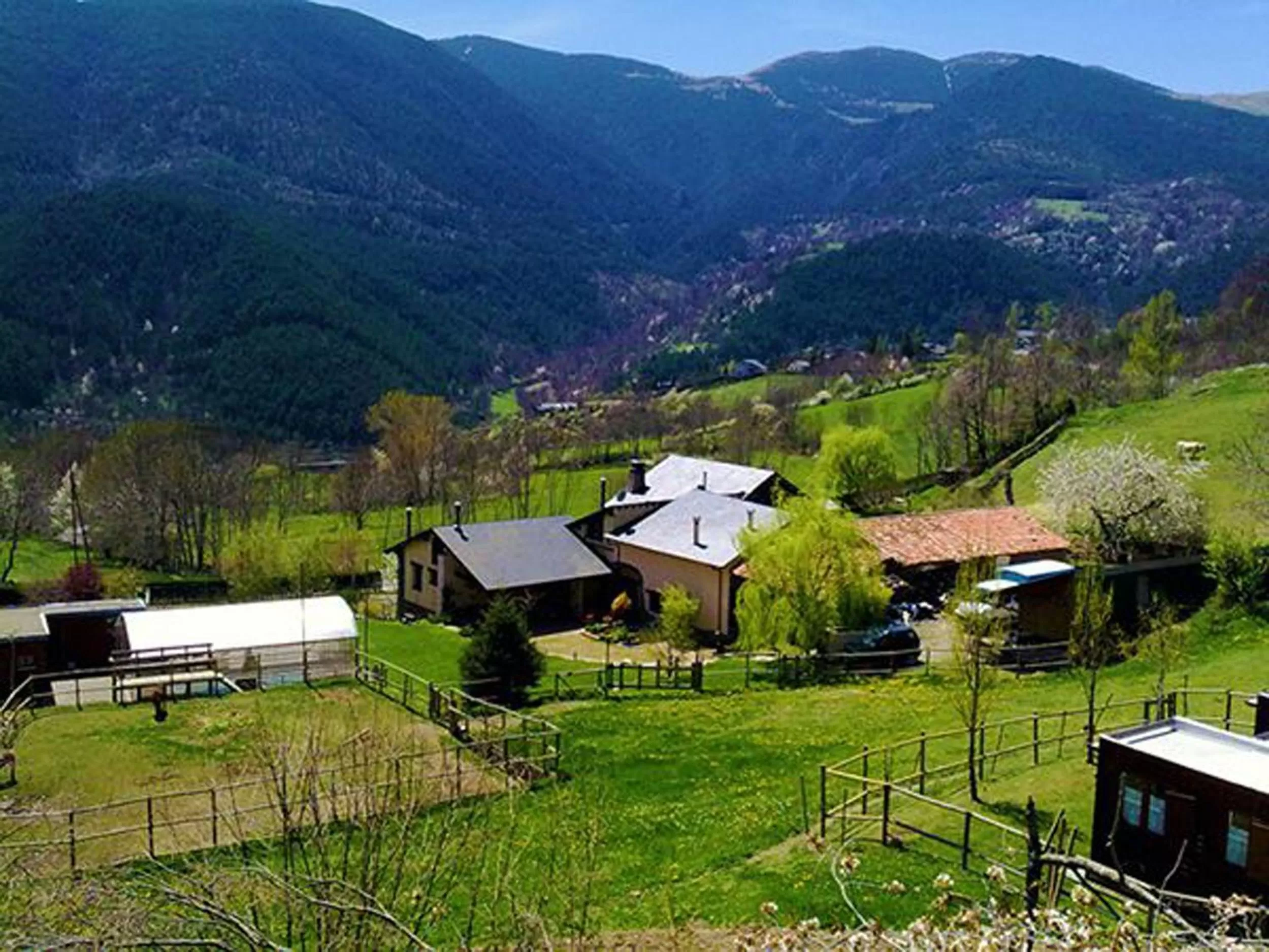 Bird's eye view in Hotel Cruells