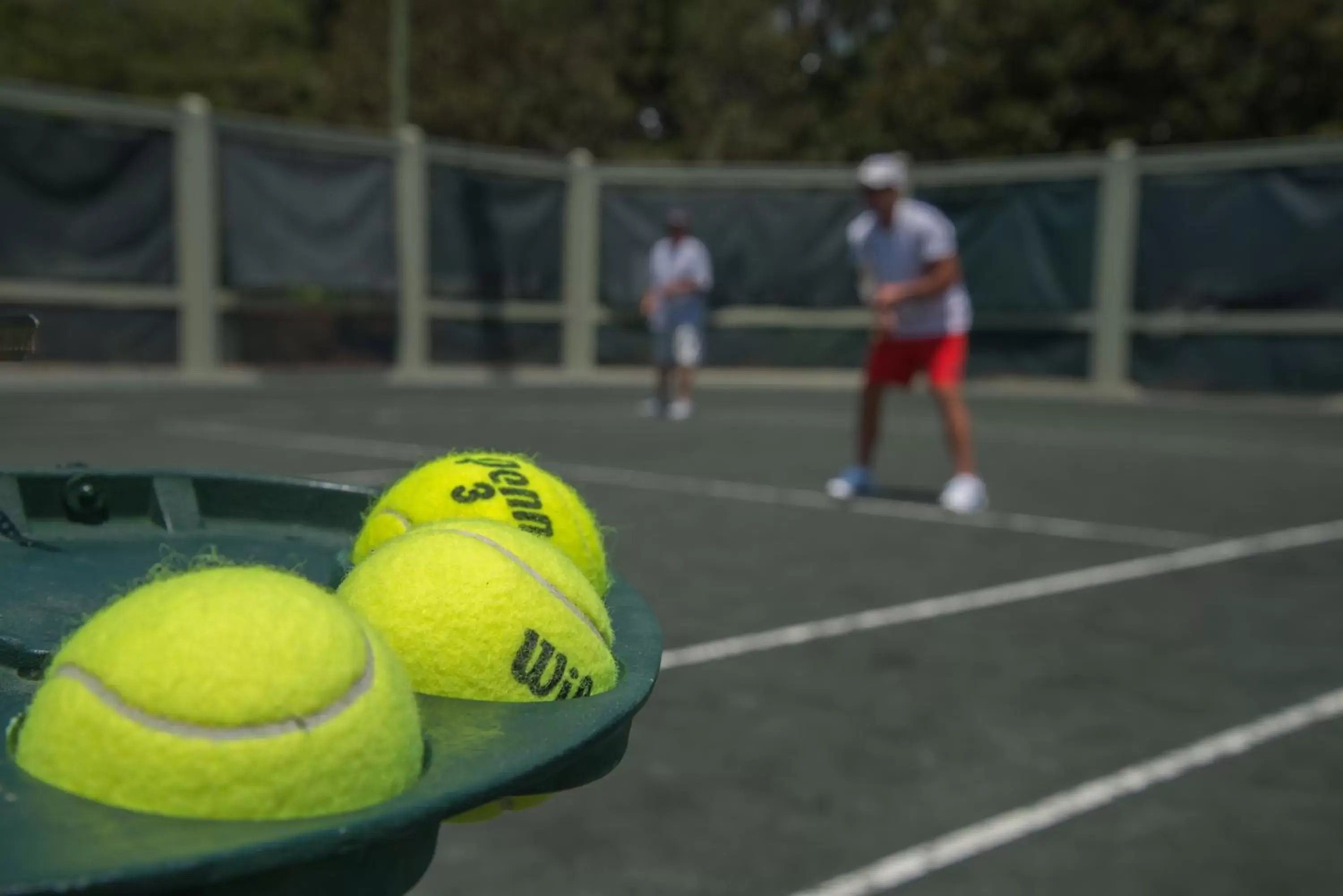 Tennis court, Other Activities in WaterColor Inn & Resort
