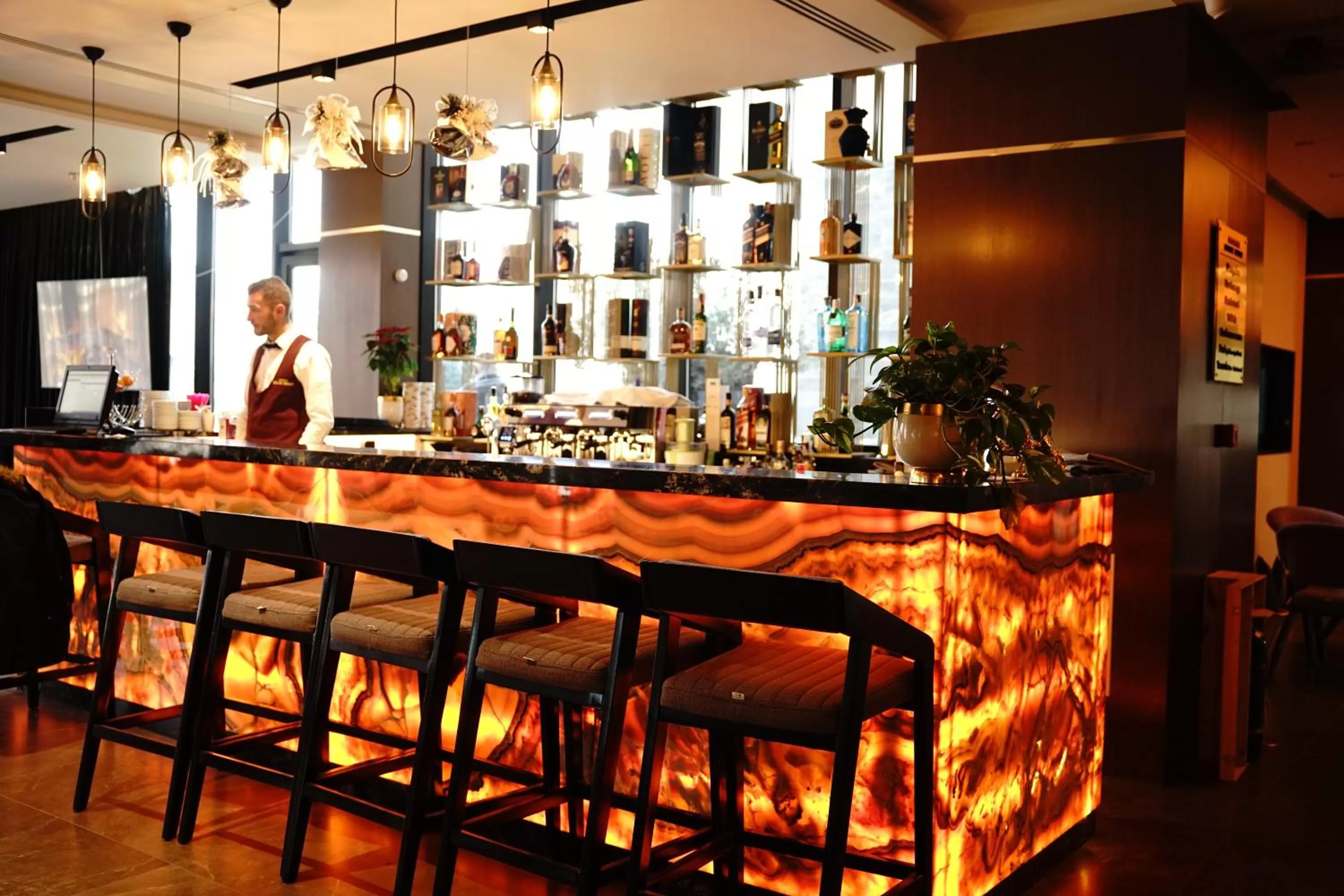 Lounge or bar in Deluxe Resort and SPA