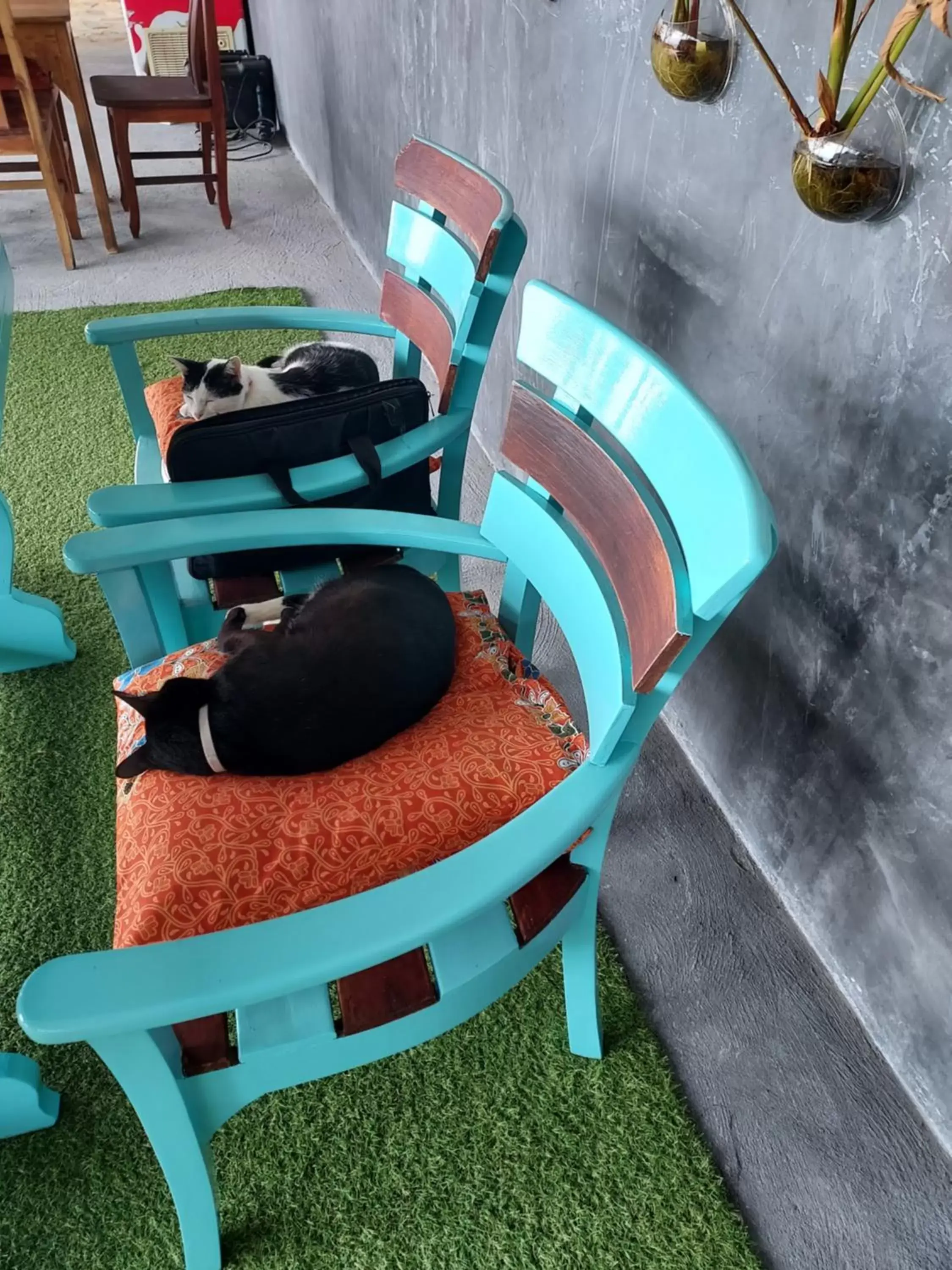 Restaurant/places to eat in Cliff Cottage Restaurant/places to eat in Cliff Cottage