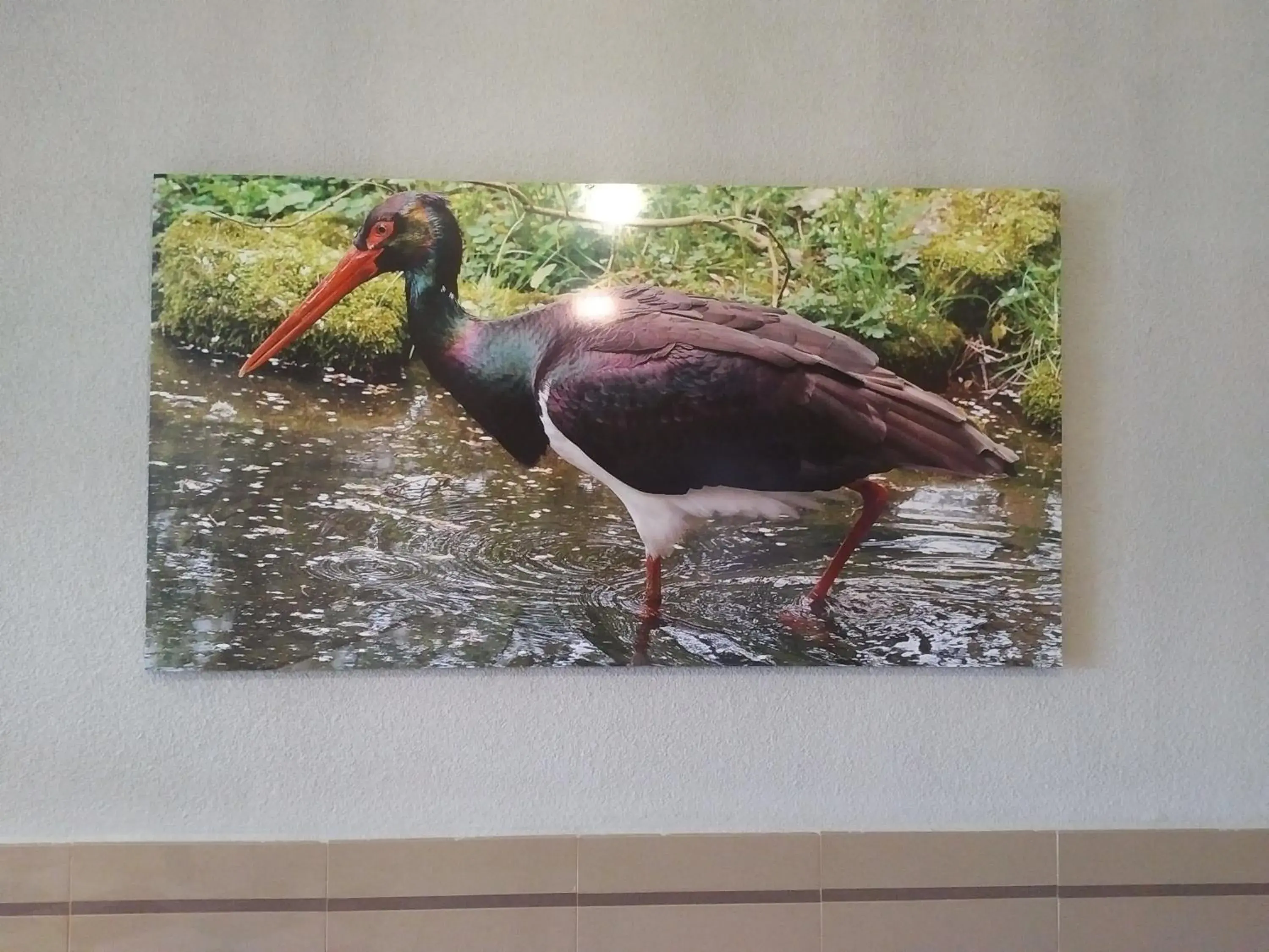 Decorative detail, Other Animals in Hotel Peru by Bossh Hotels