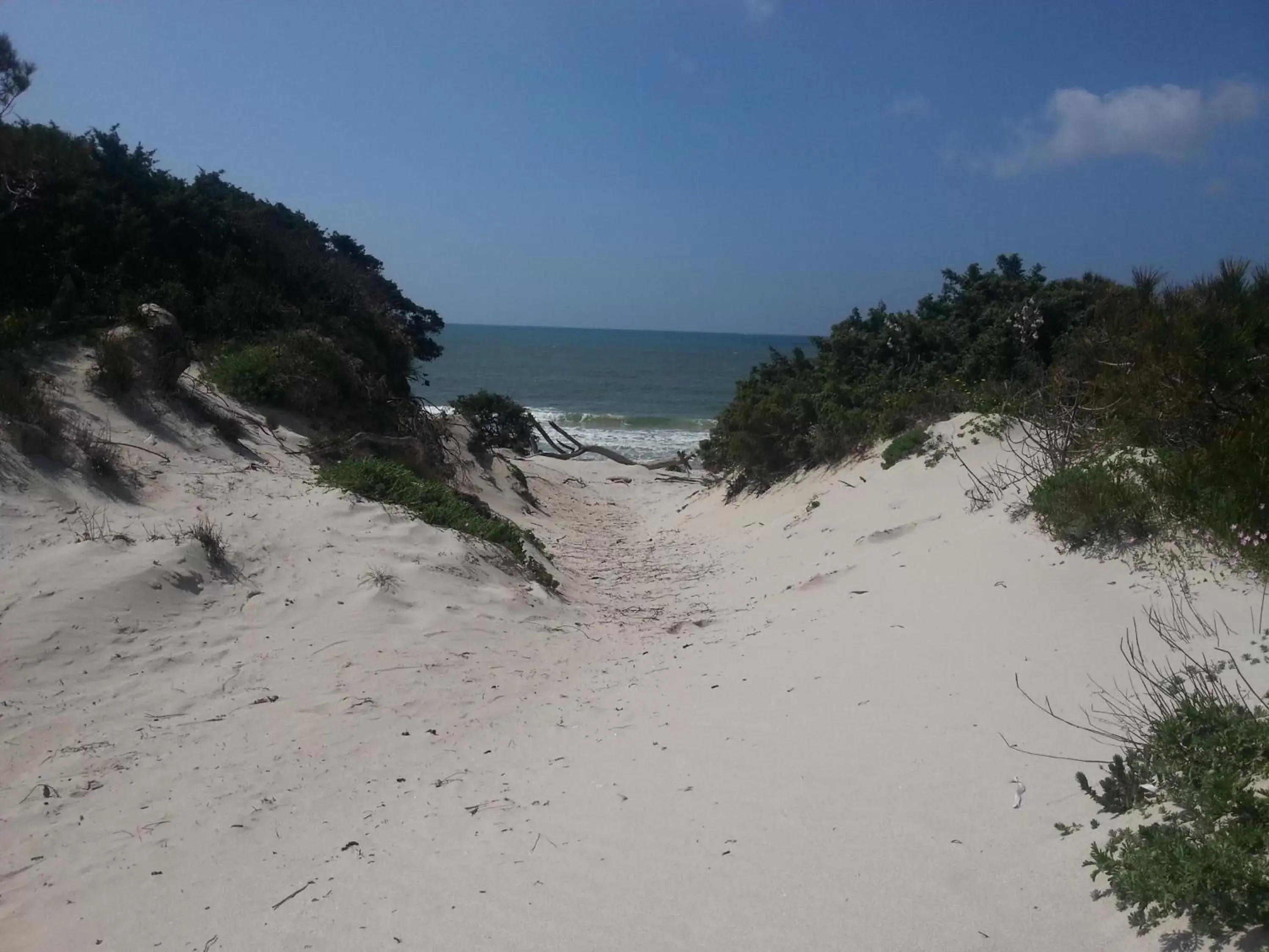 Beach in Hotel Mistral