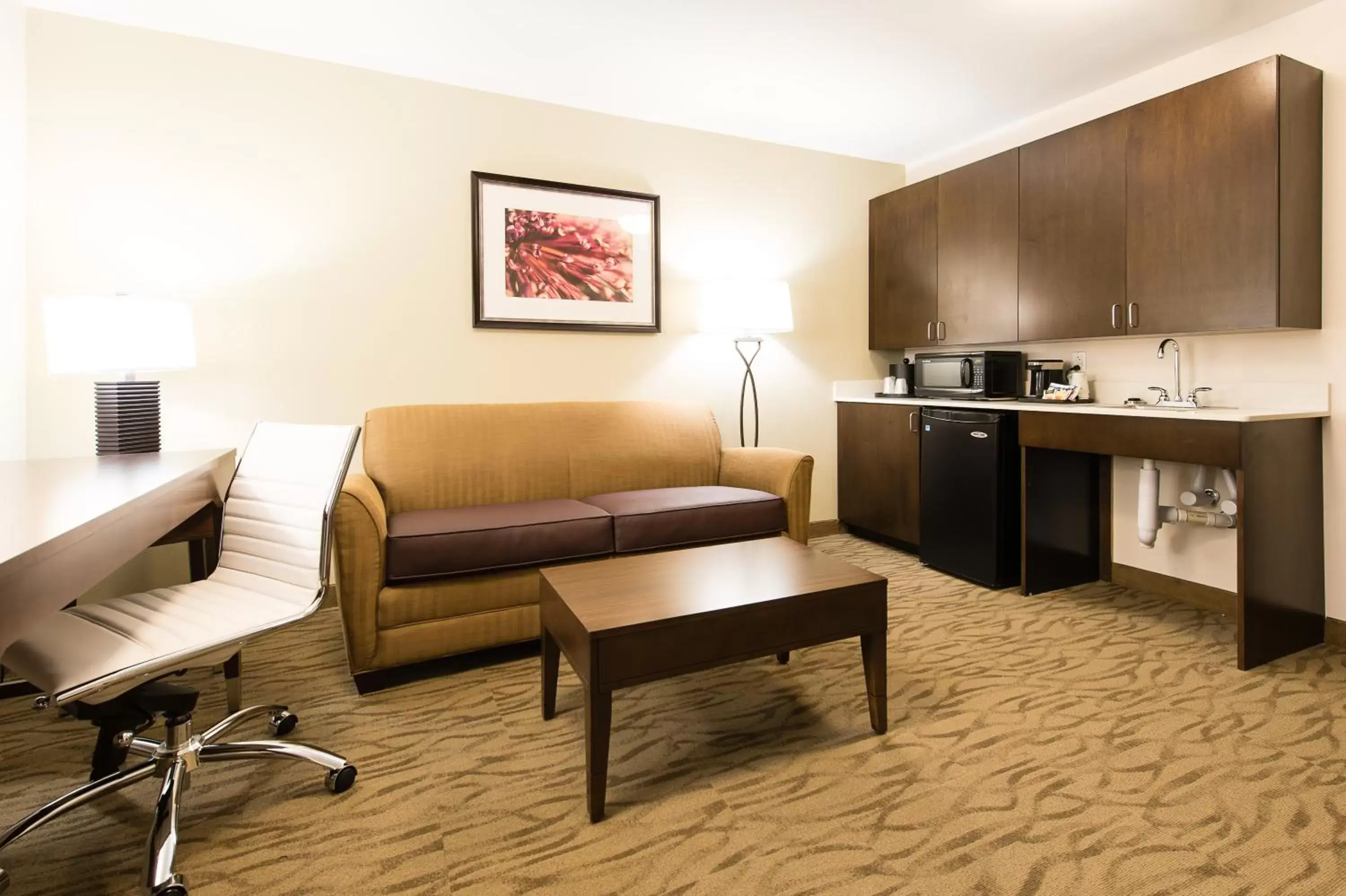 Seating area in Holiday Inn Express & Suites Aiken, an IHG Hotel