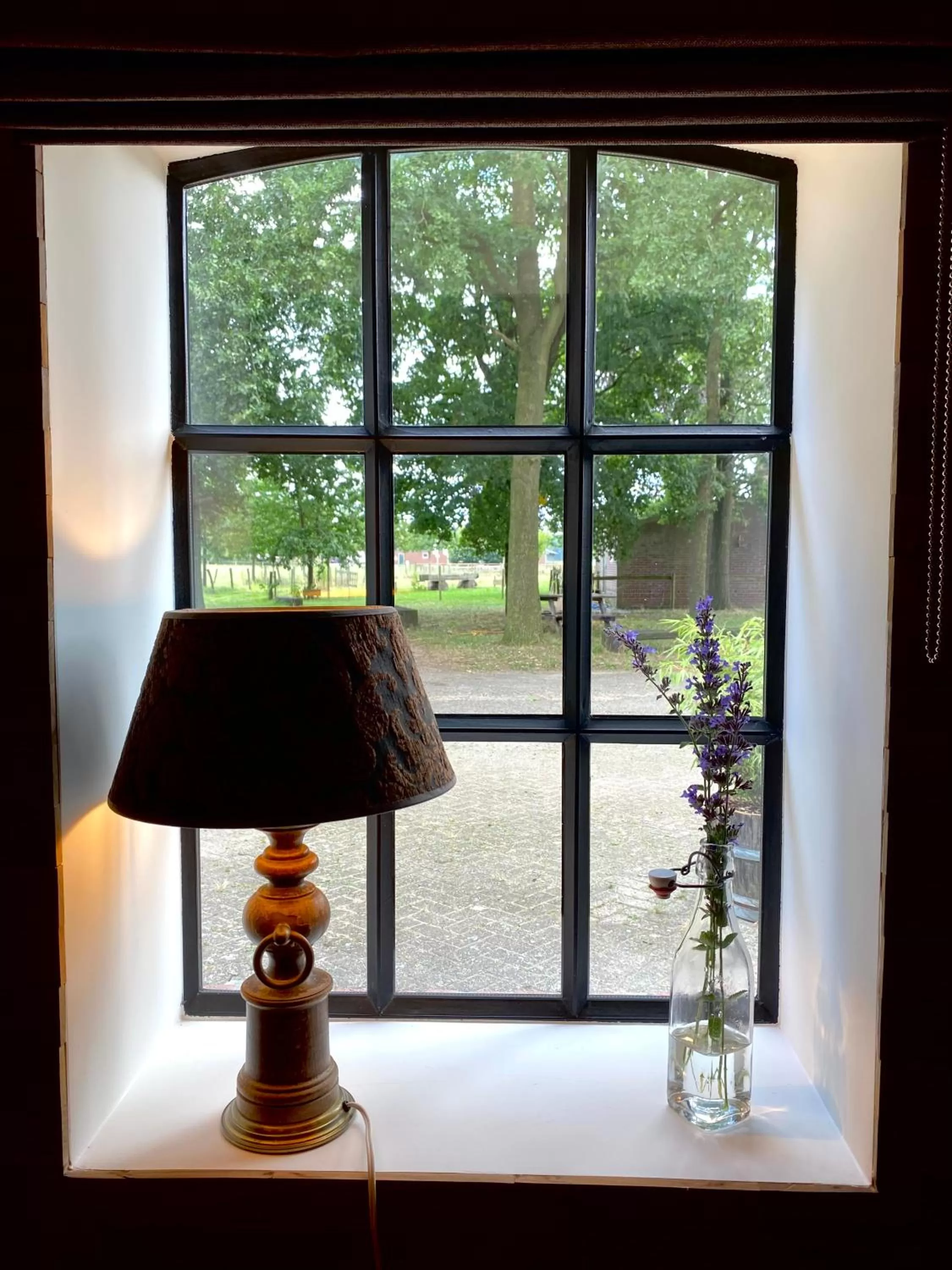 Garden view in De Heeren Hoeve Carpe Diem