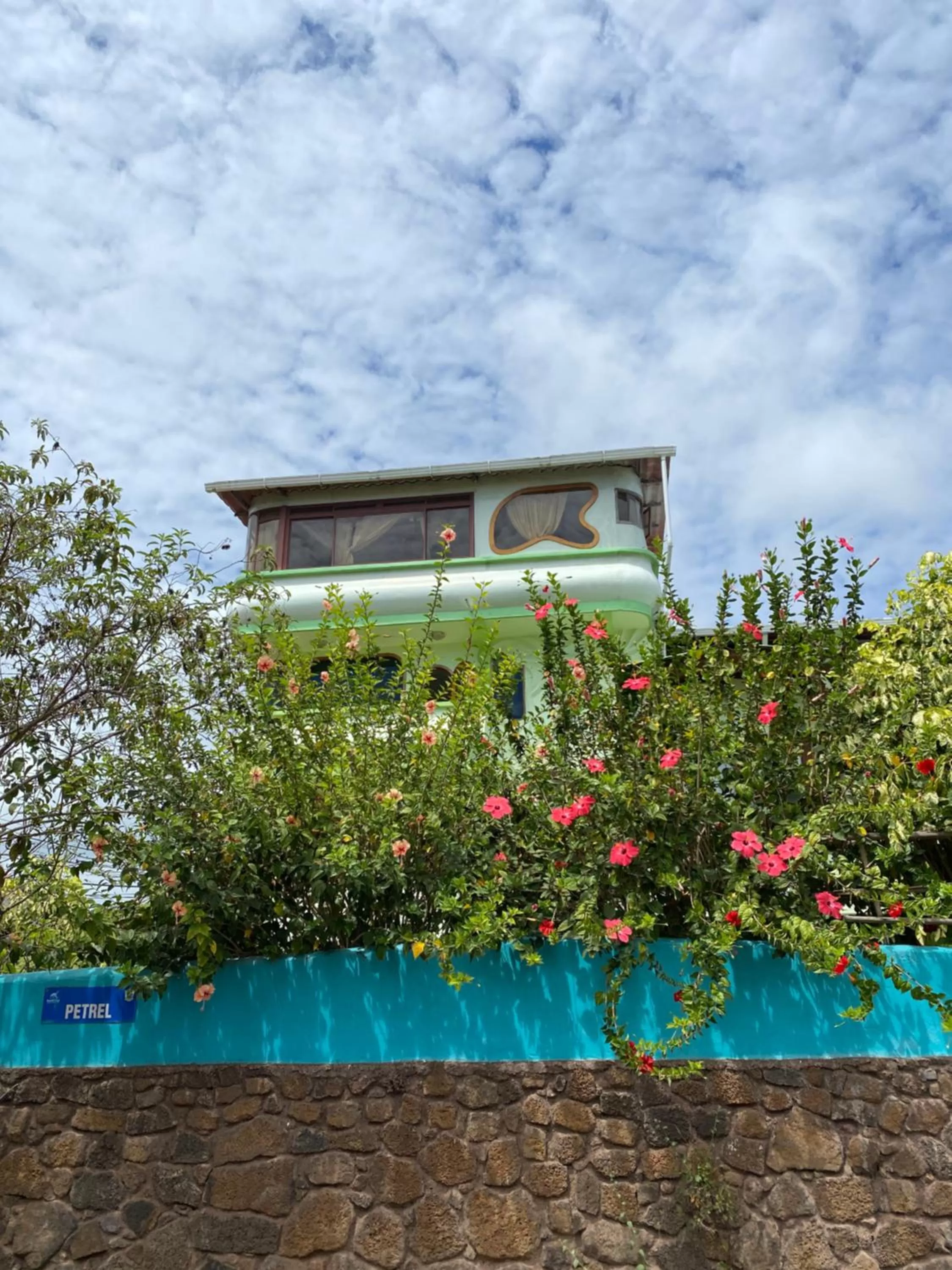Garden view in Hostal Casa Edén