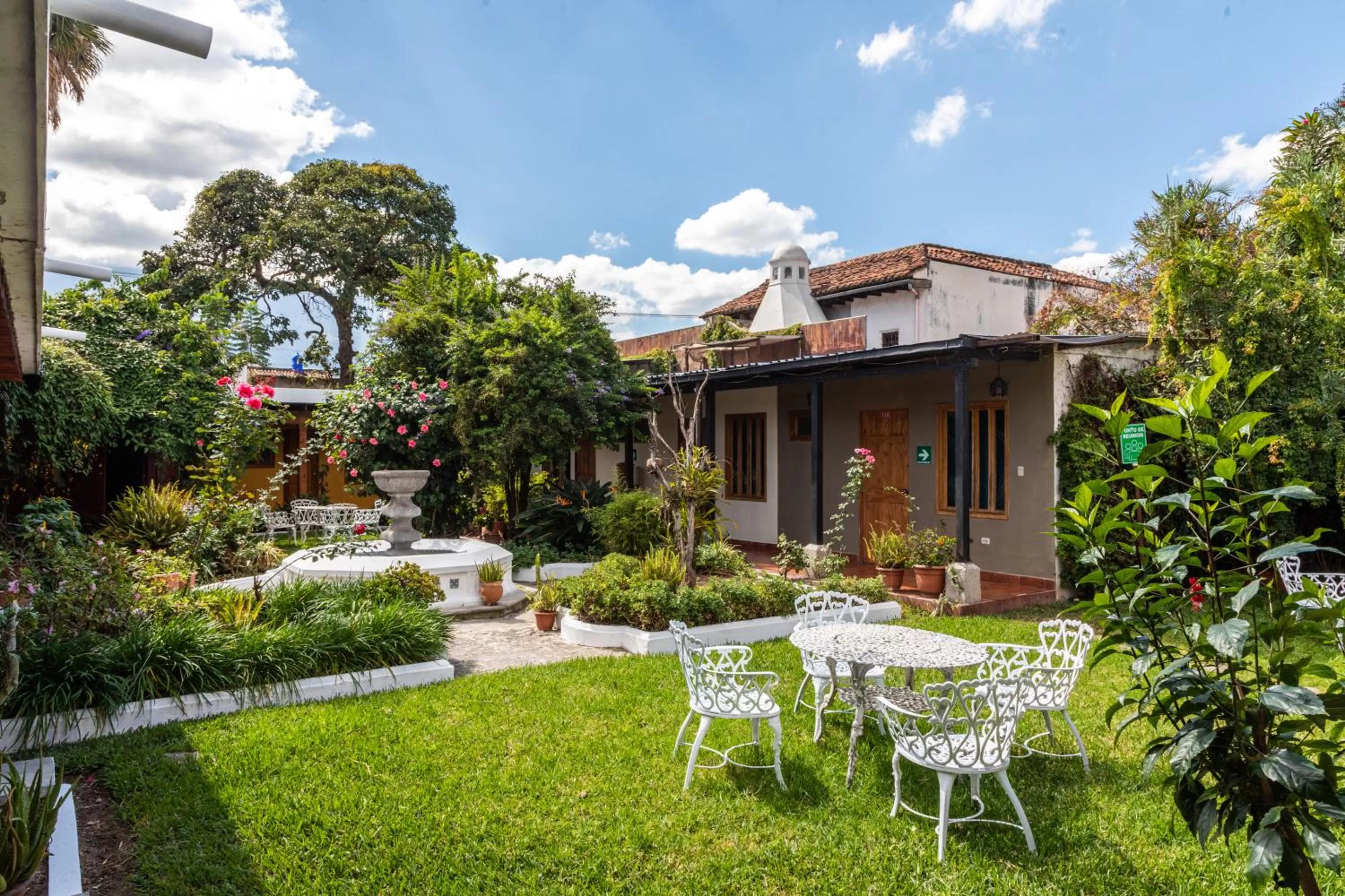 Garden in Hotel San Jorge by Porta Hotels