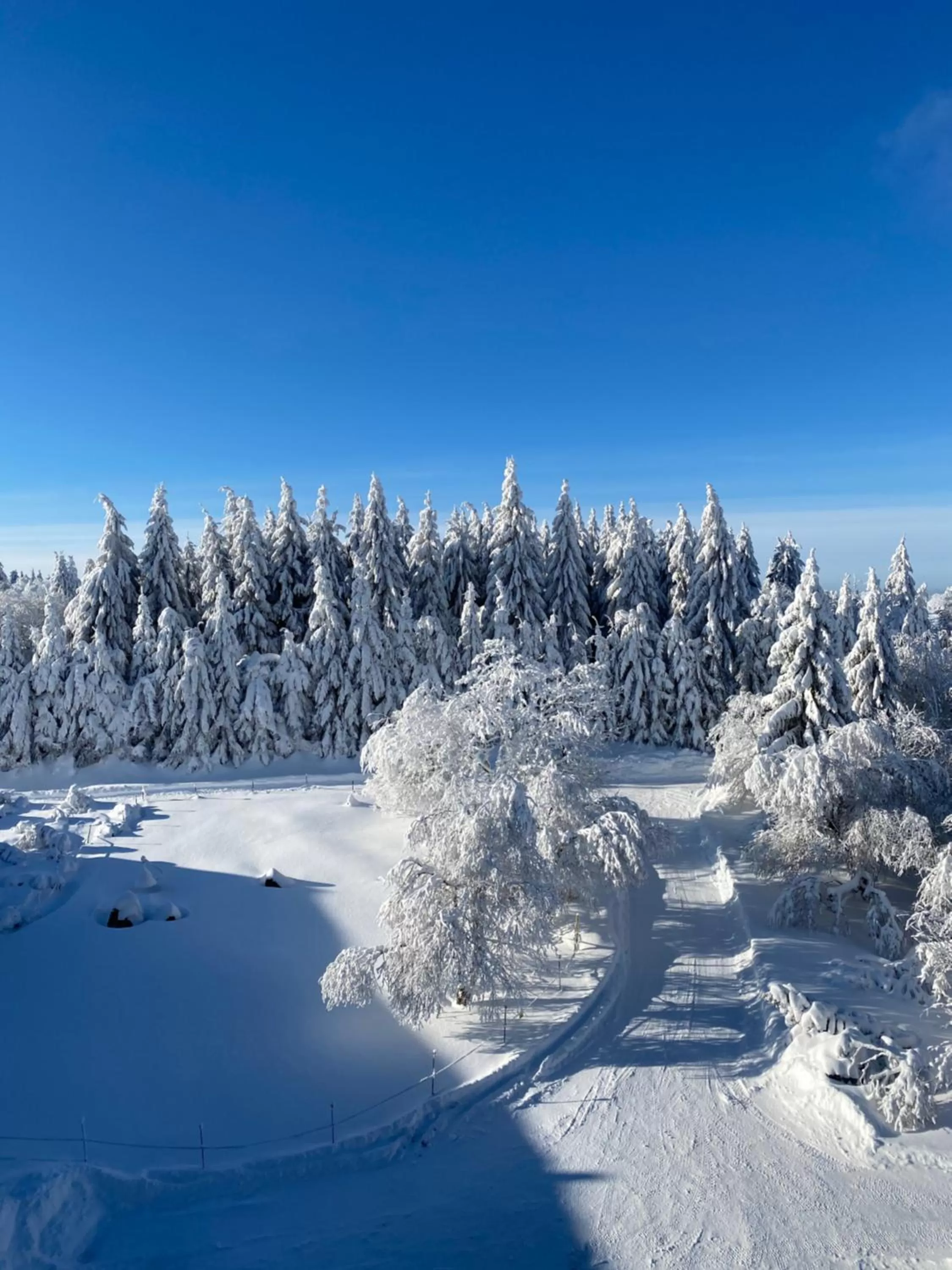 Property building in Hotel Lugsteinhof