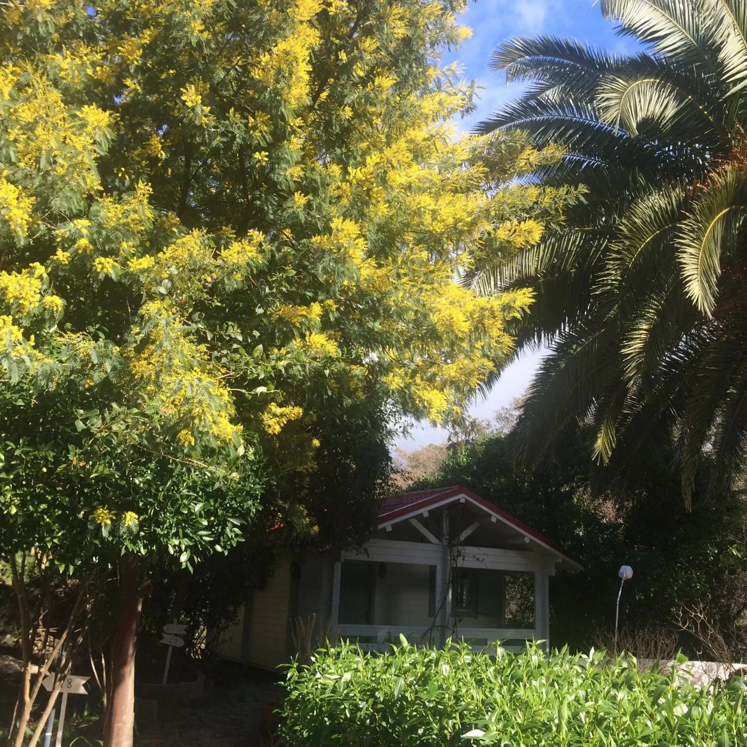 Garden, Property Building in Mesón de Sancho