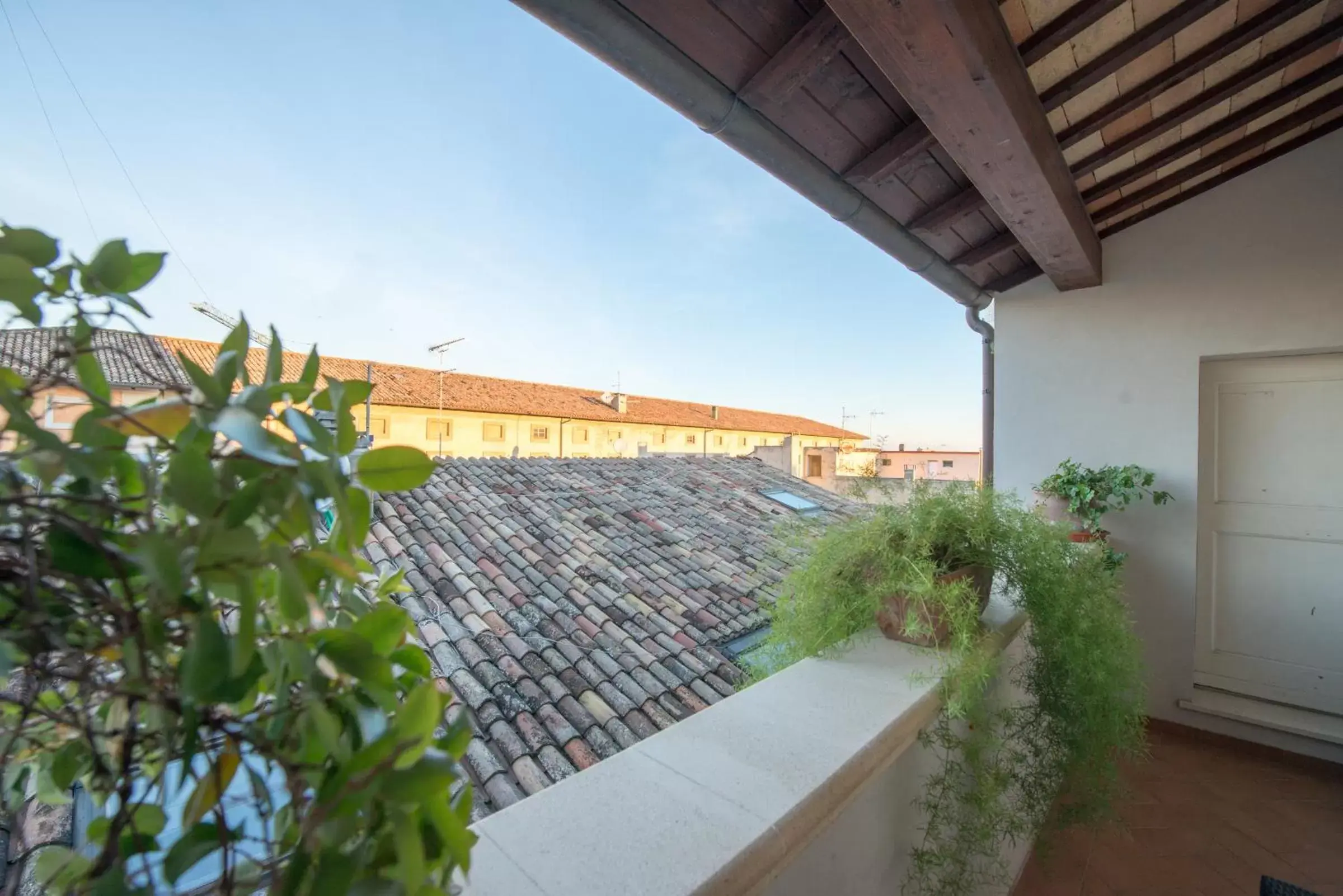 Day, Balcony/Terrace in Palazzo Rotati