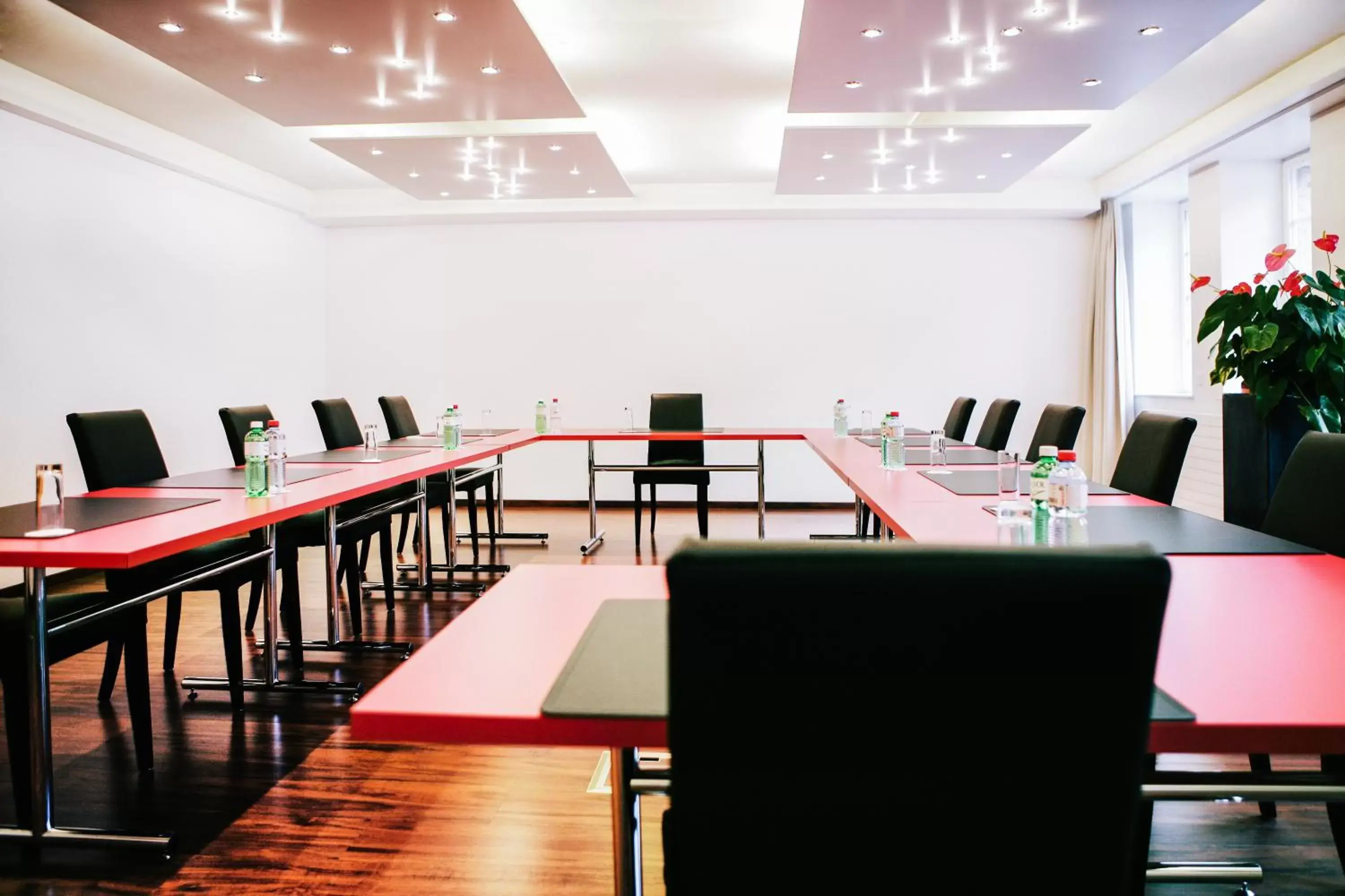 Business facilities, Business Area/Conference Room in Hotel Murtenhof & Krone