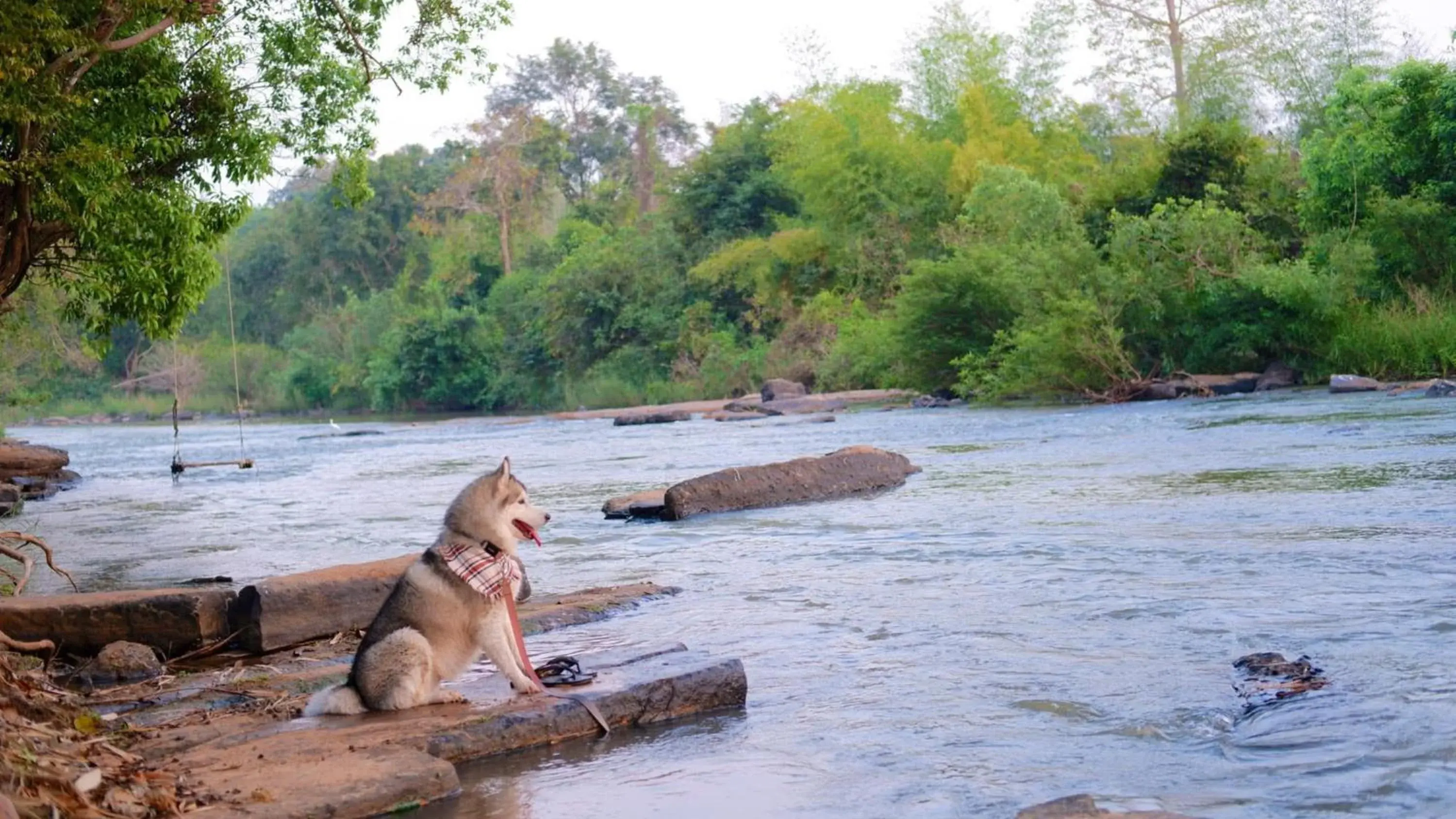 Naturalpark Resort De Wangthong Naturalpark Resort De Wangthong