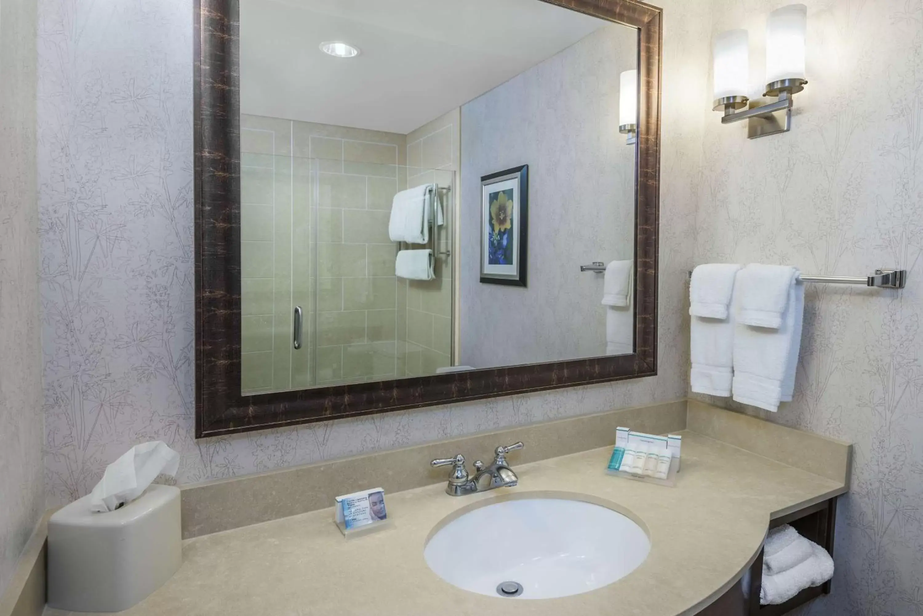 Bathroom in Hilton Garden Inn San Antonio/Rim Pass Drive