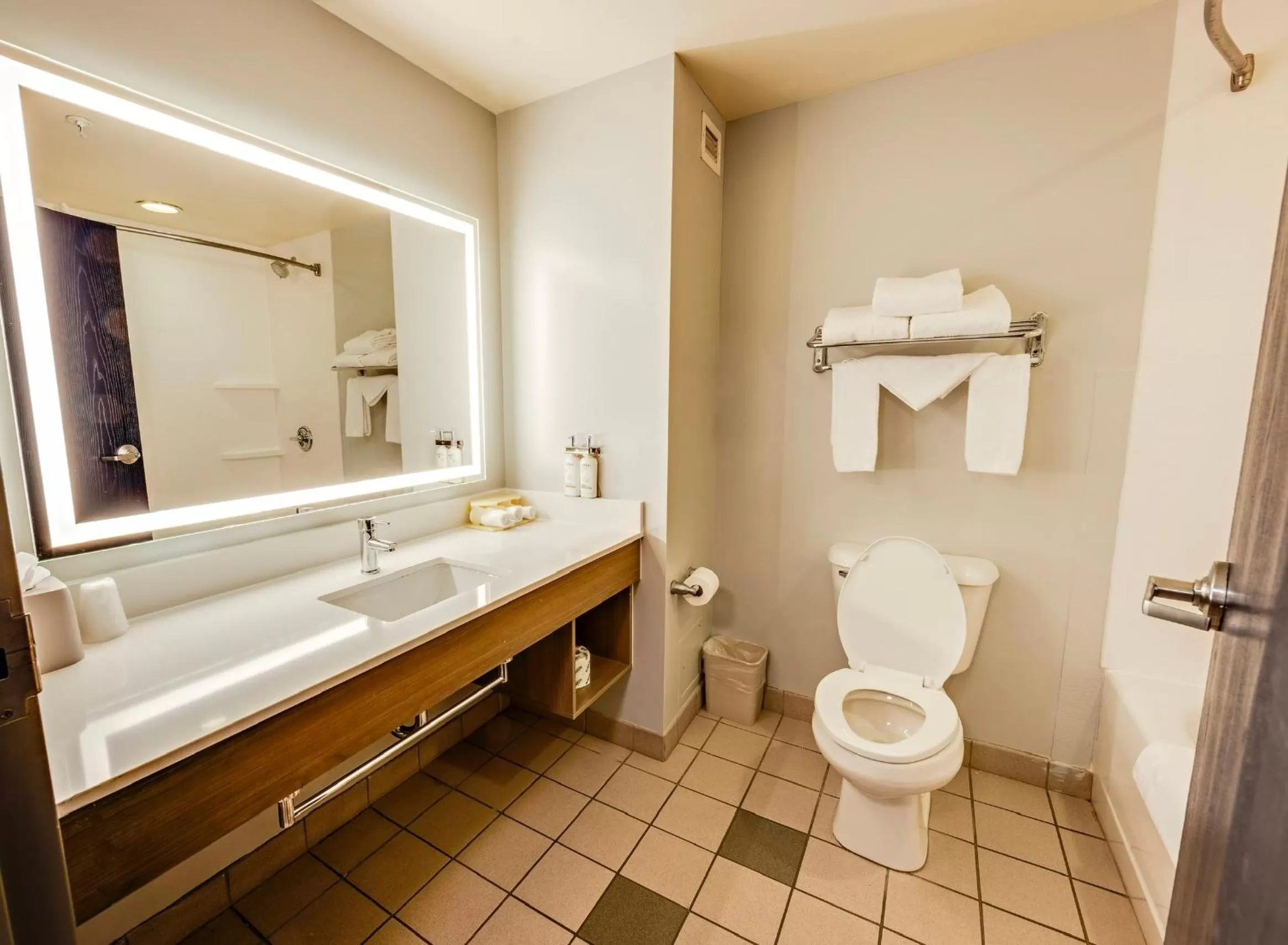 Shower in Holiday Inn Express Hotel & Suites Ohio State University- OSU Medical Center by IHG