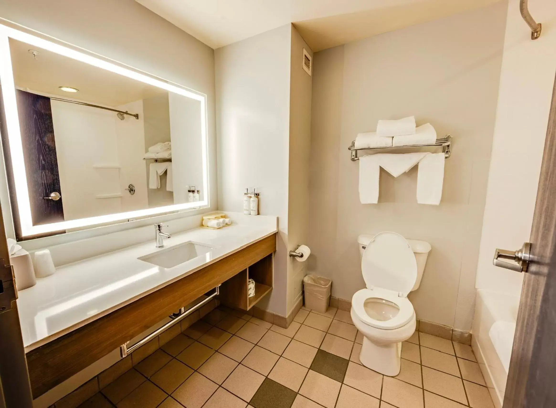 Shower, Bathroom in Holiday Inn Express Hotel & Suites Ohio State University- OSU Medical Center, an IHG Hotel